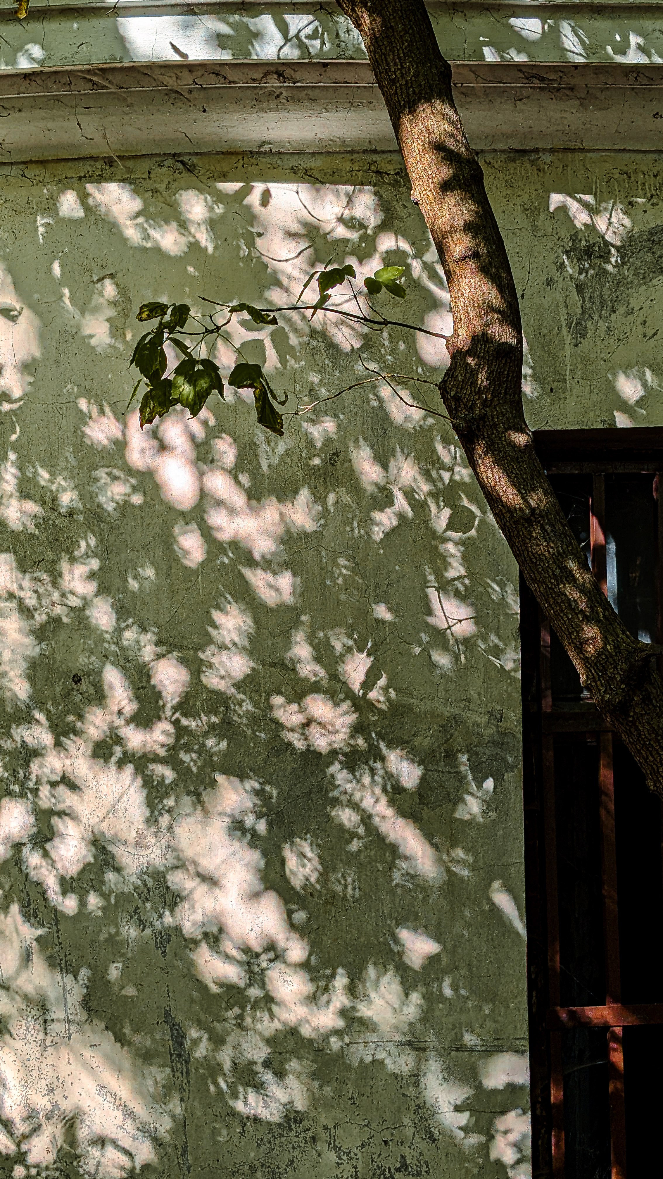 Мобильная фотография. Интерьерный и портретный фотограф в Москве Анна Моногарова