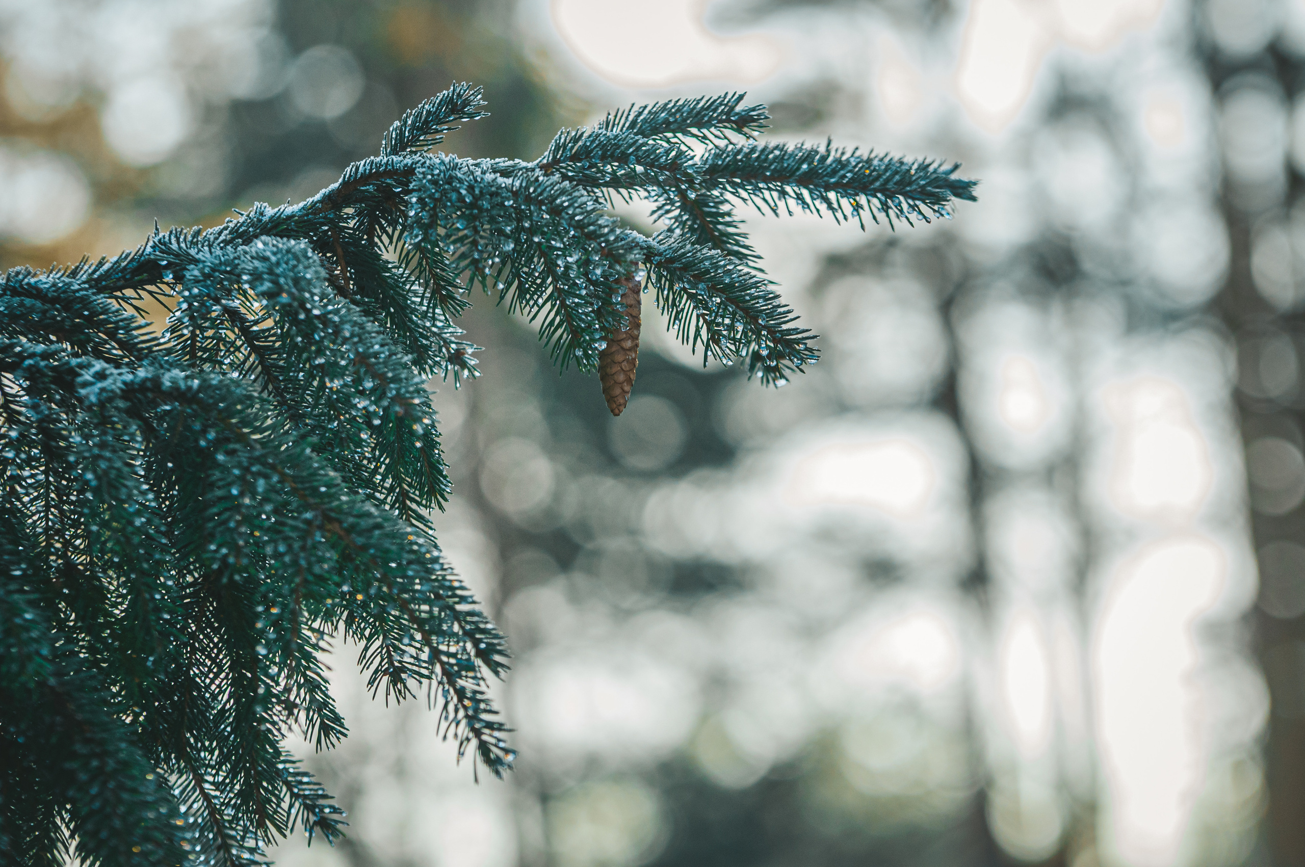Природа. Мотофотограф в Нижнем Новгороде Динара Зуйкова