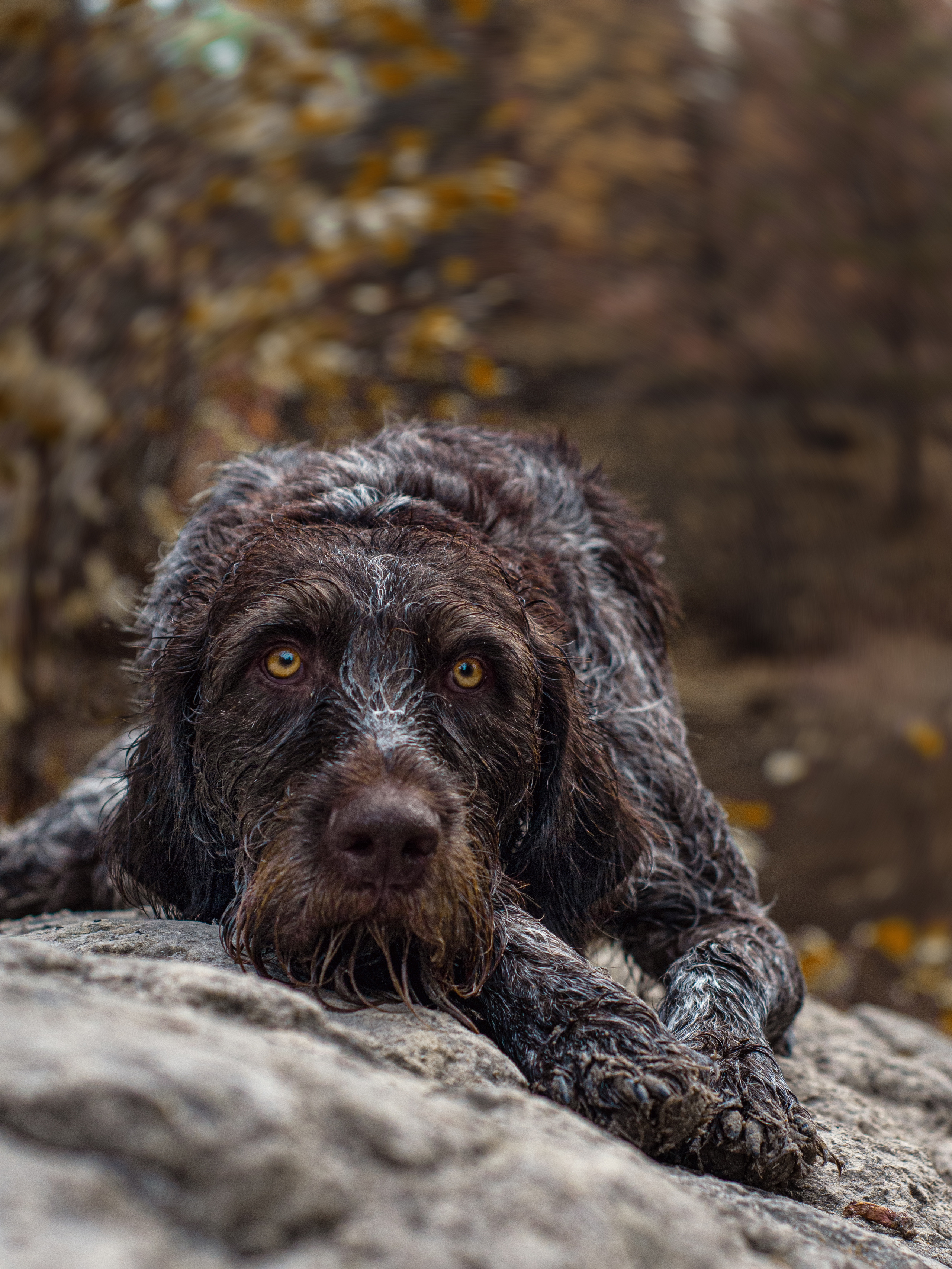 Дартхаар Бэст. Мотофотограф в Нижнем Новгороде Динара Зуйкова