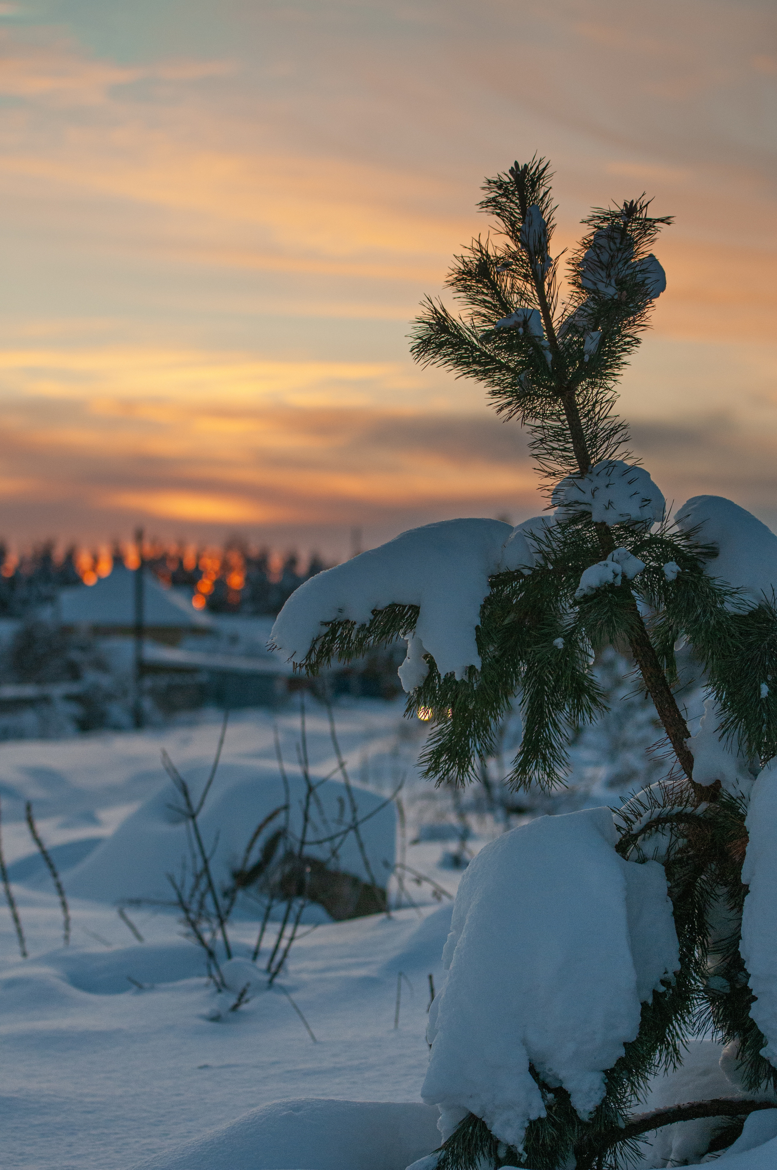 Природа. Мотофотограф в Нижнем Новгороде Динара Зуйкова