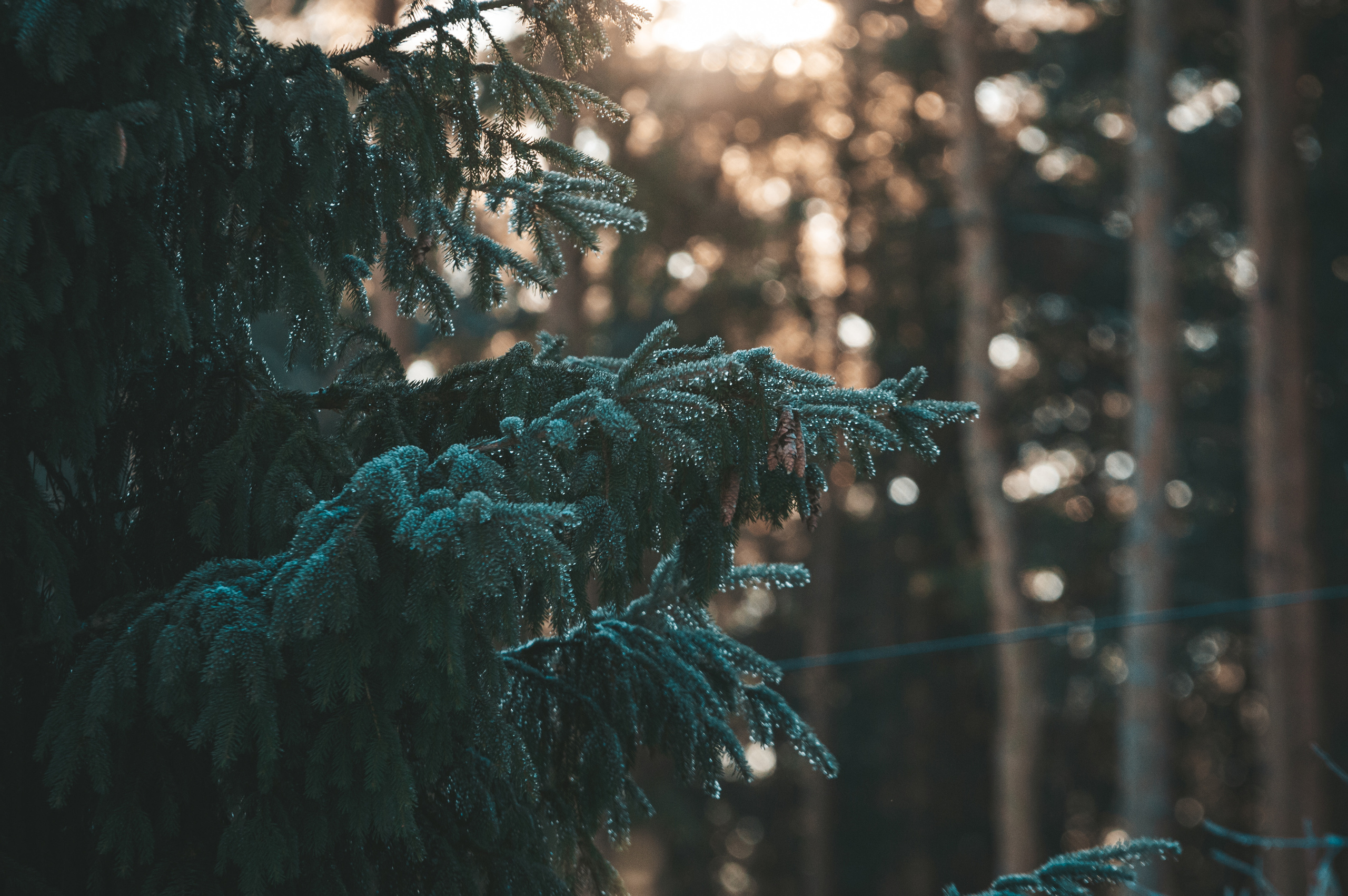 Природа. Мотофотограф в Нижнем Новгороде Динара Зуйкова