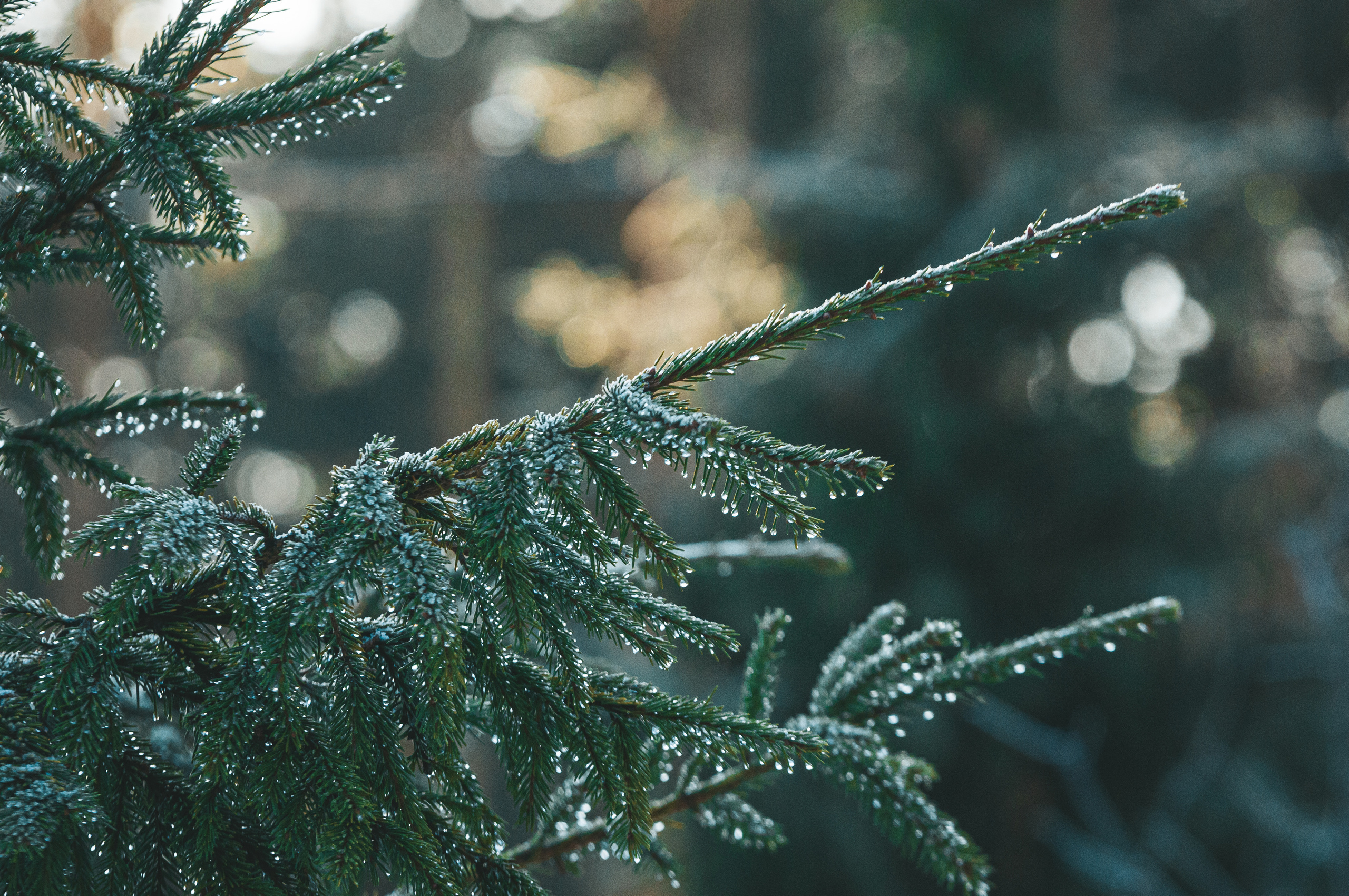 Природа. Мотофотограф в Нижнем Новгороде Динара Зуйкова