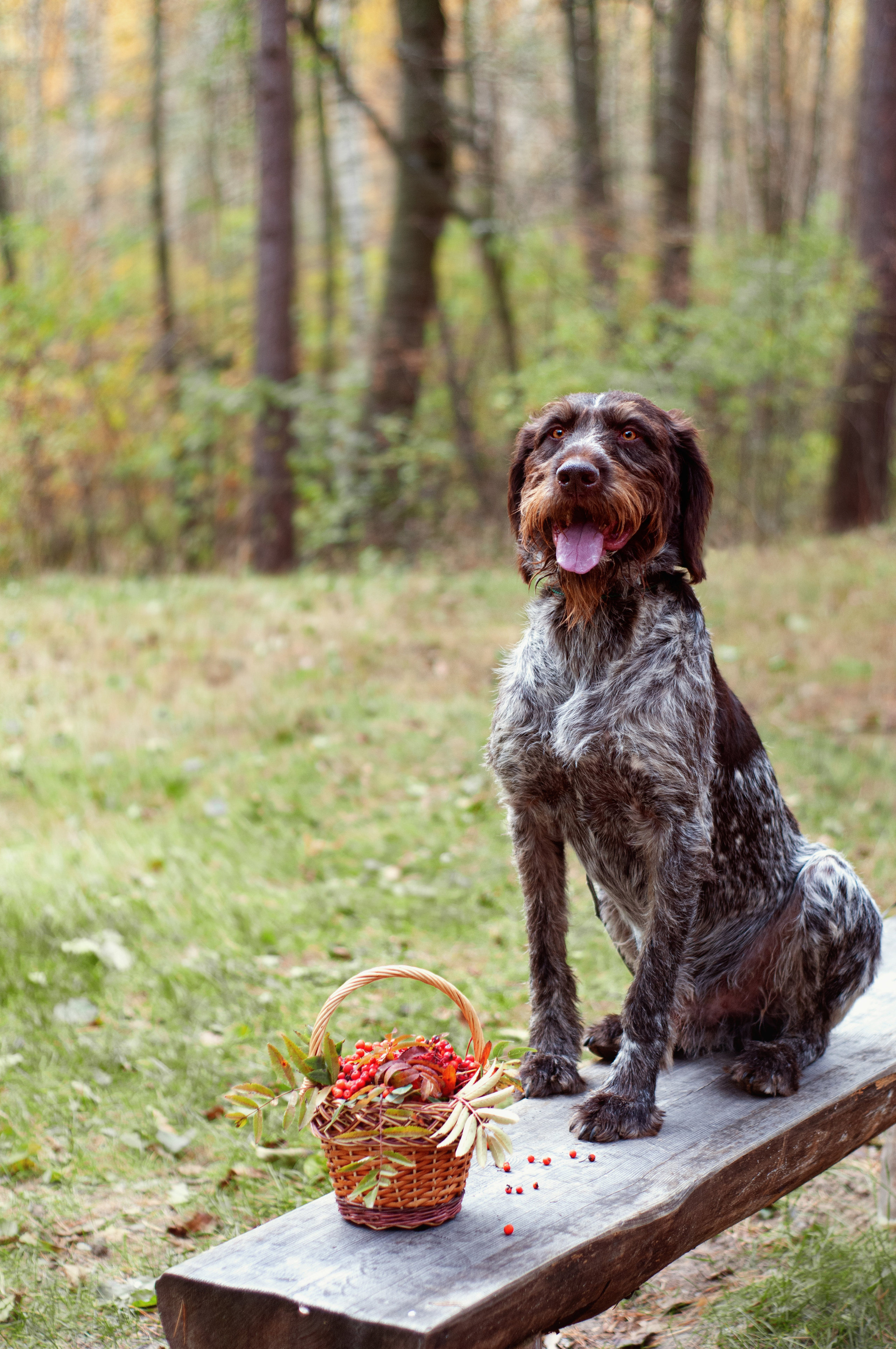 Дартхаар Бэст. Мотофотограф в Нижнем Новгороде Динара Зуйкова