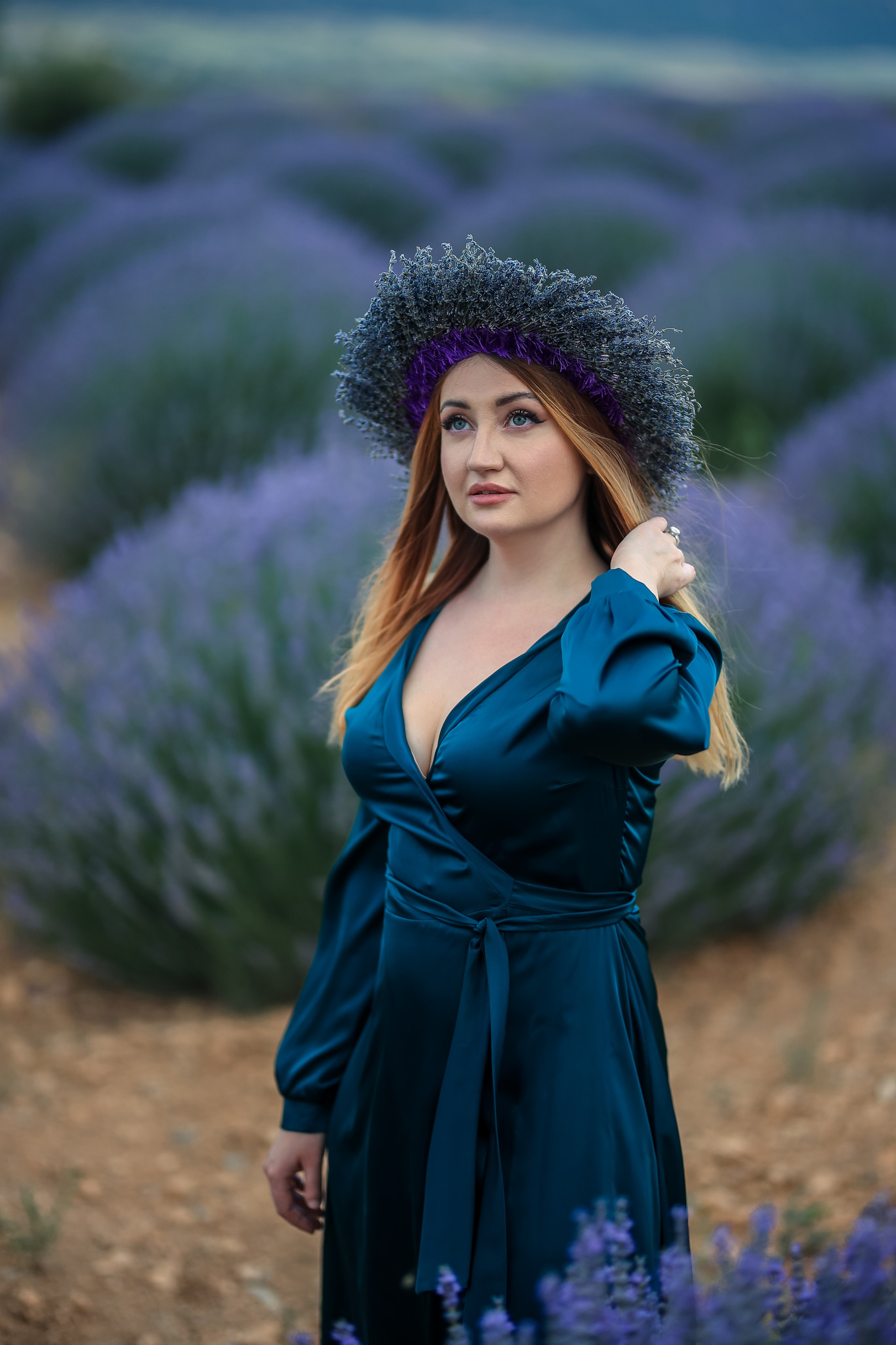 Lavender fields in Turkey