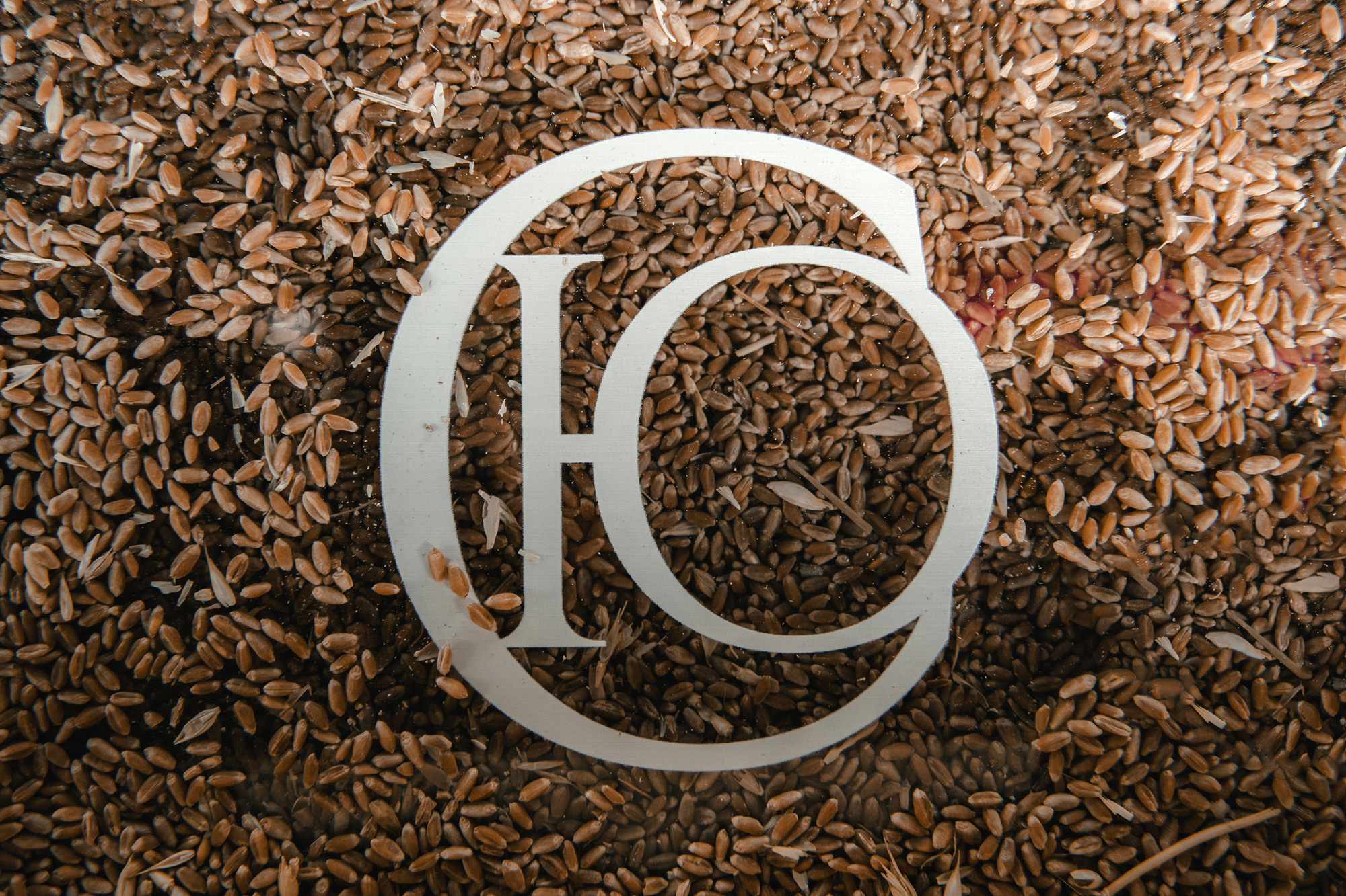 Сергей и Юлия. Portfolio