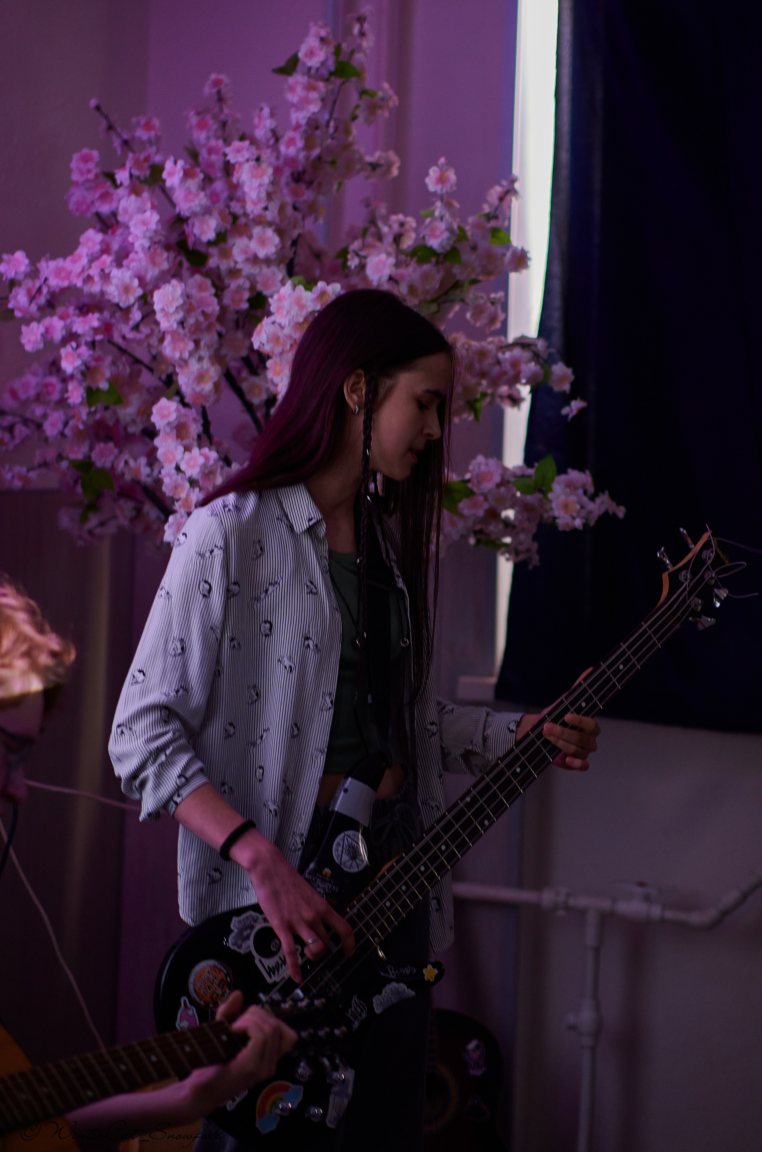 Крик (Чайка 11.05.24). Портретный и репортажный фотограф в Магадане Андрей Нефедов WinterCatPhoto