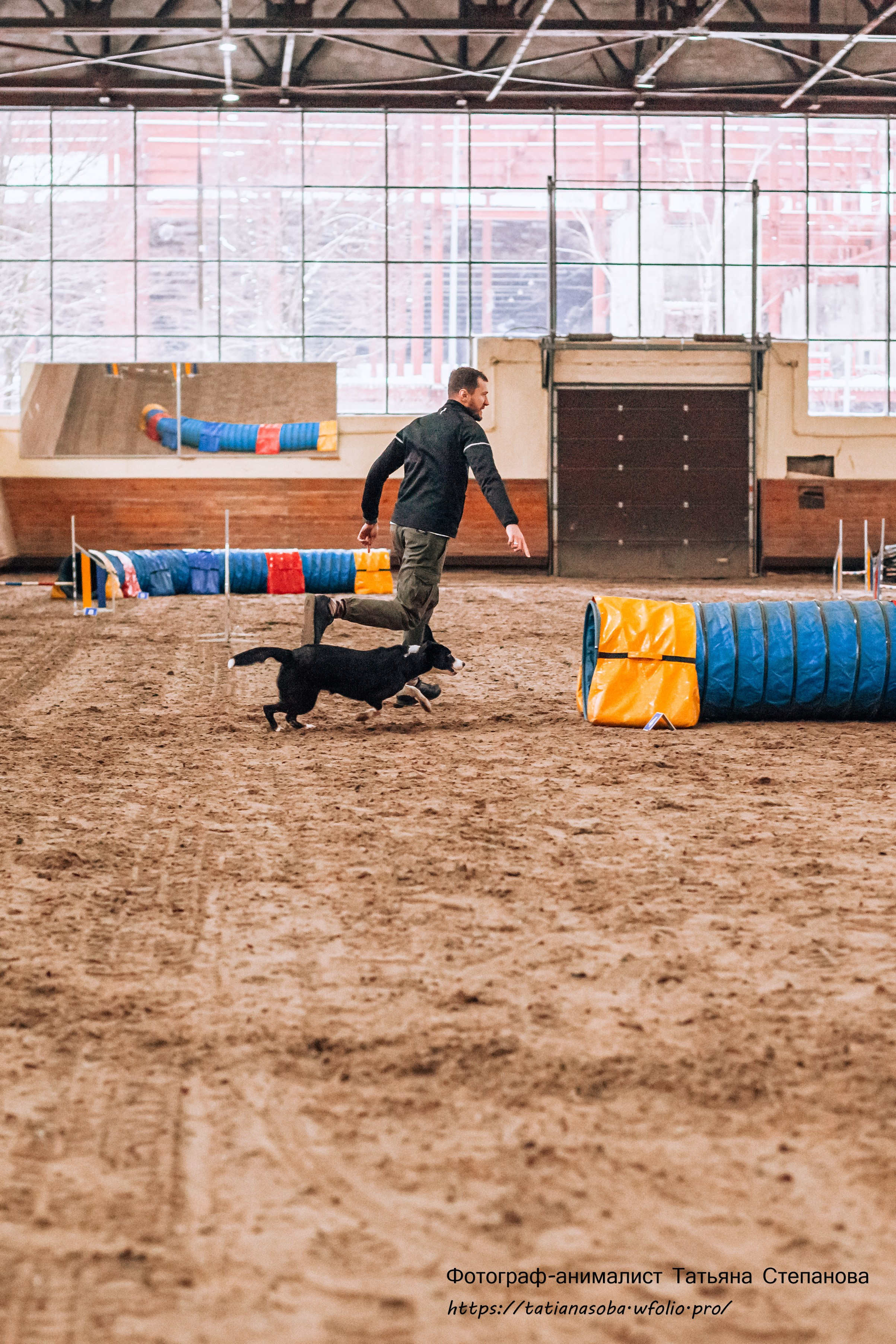 Соревнования по Аджилити 25.02.2024. Фотограф-анималист Татьяна Степанова