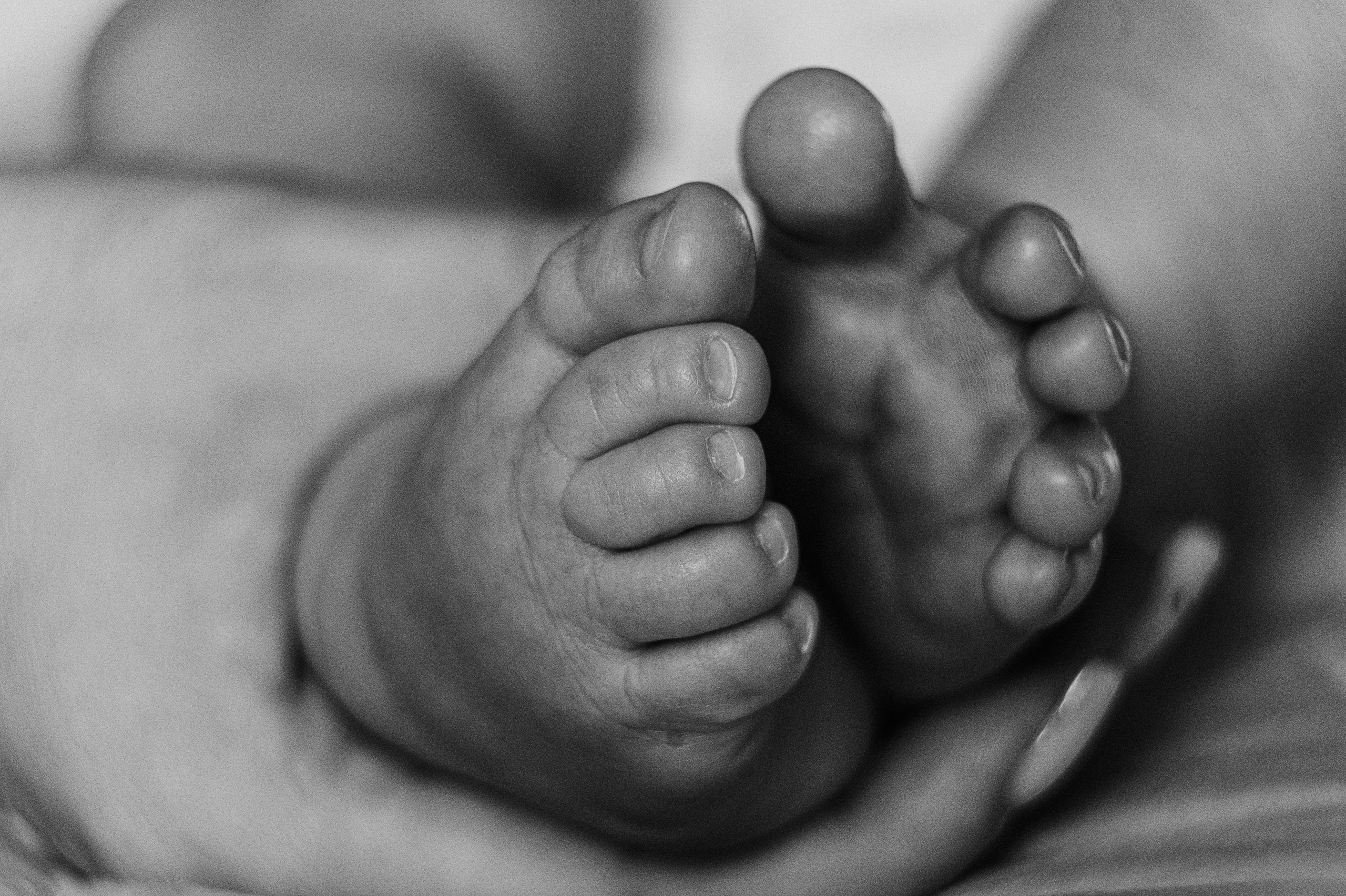 Иван, Ксения и Лев. Фотограф беременности и семьи, домашние съемки, Ньюборн