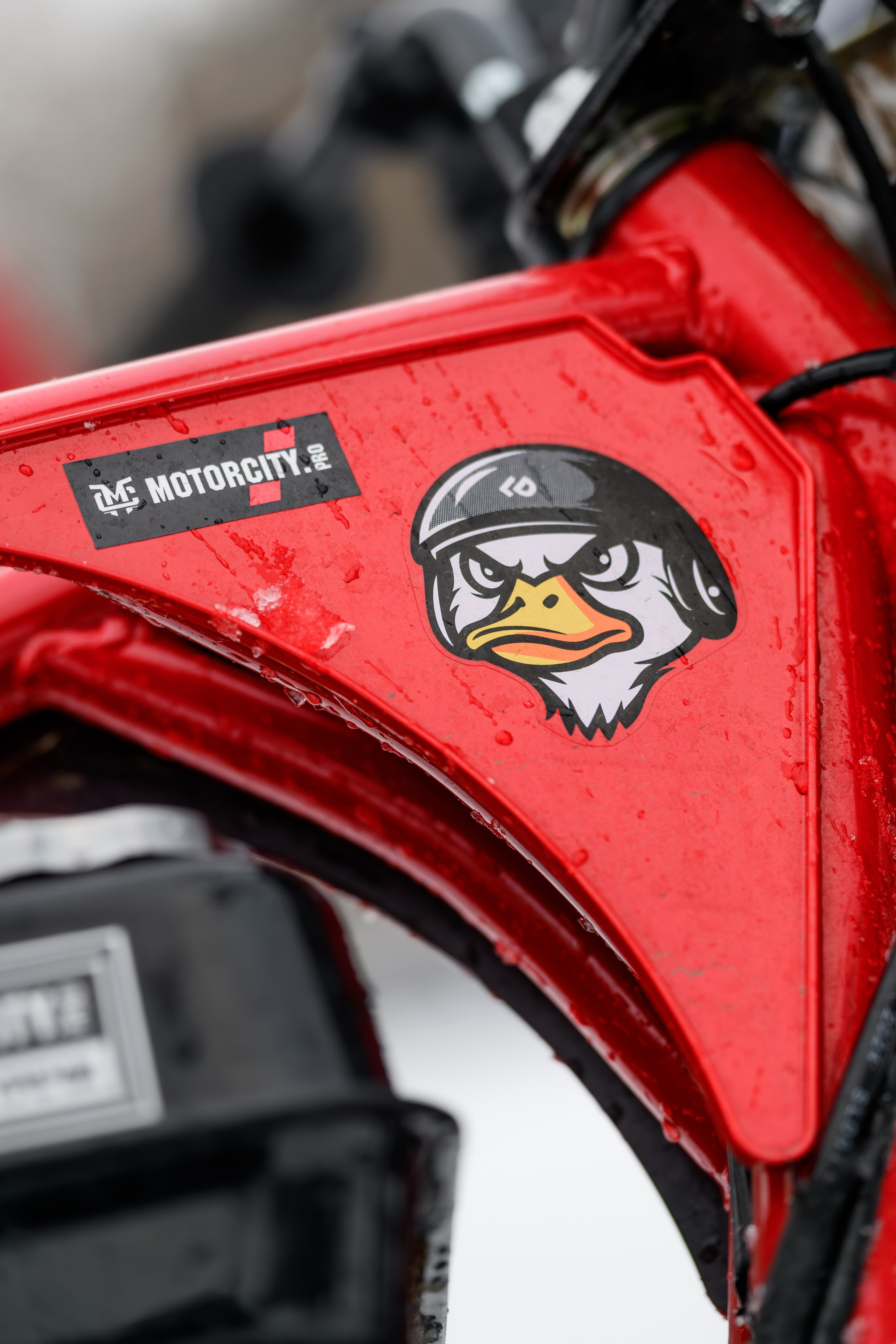 2026 Flat Track x Motorcity Крылатское фотограф Антон Медведев icoguar