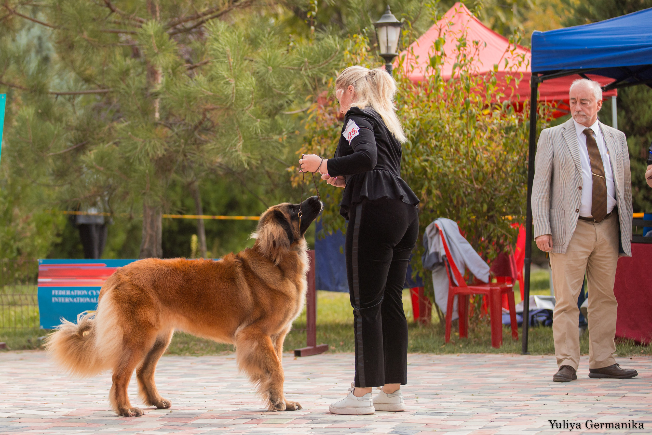 Ташкент 6-8.10.2023 + Алматы 14-15.10.2023. Фотограф-анималист Юлия Германика