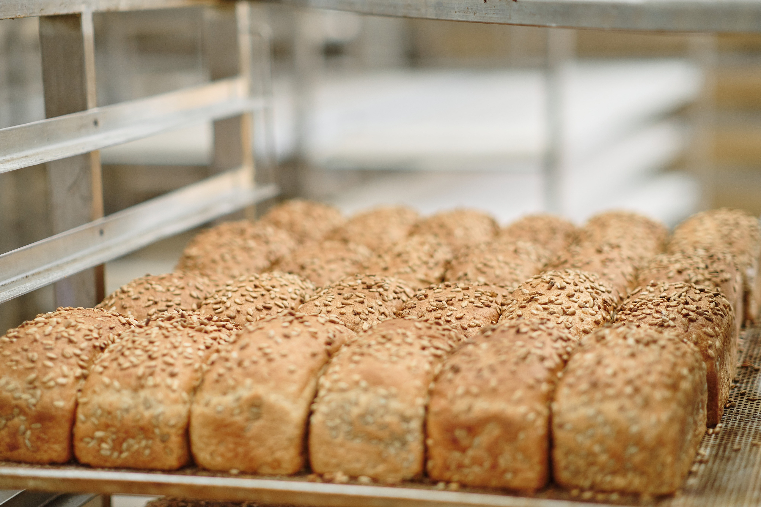 Фотограф на мероприятие. Light Media — креативный видеопродакшн