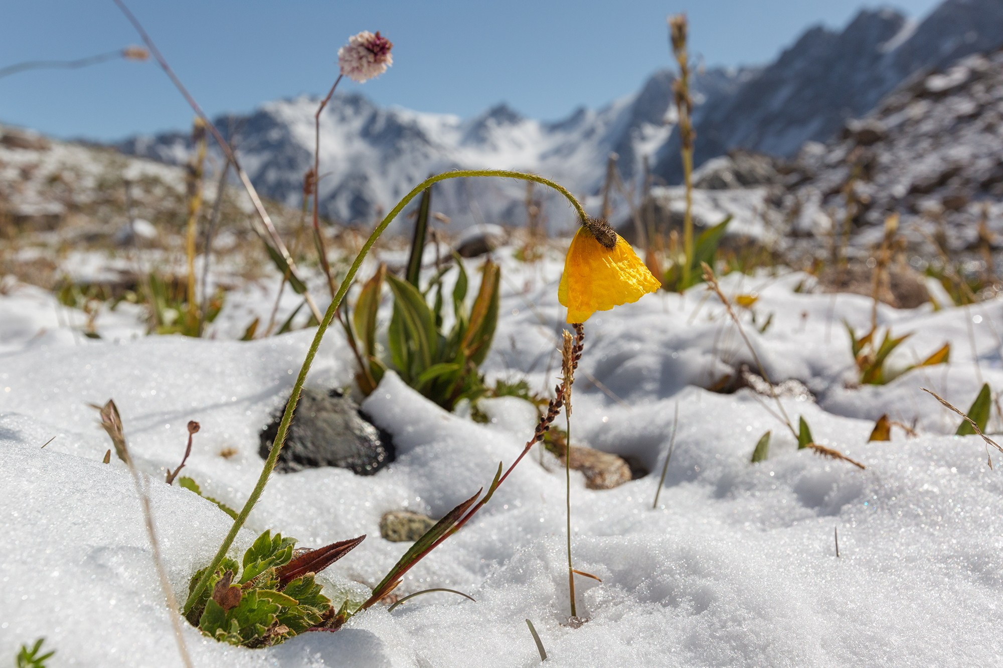 ЗАИЛИЙСКИЙ АЛАТАУ. КАЗАХСТАН. Фототуры и обучение пейзажной фотографии