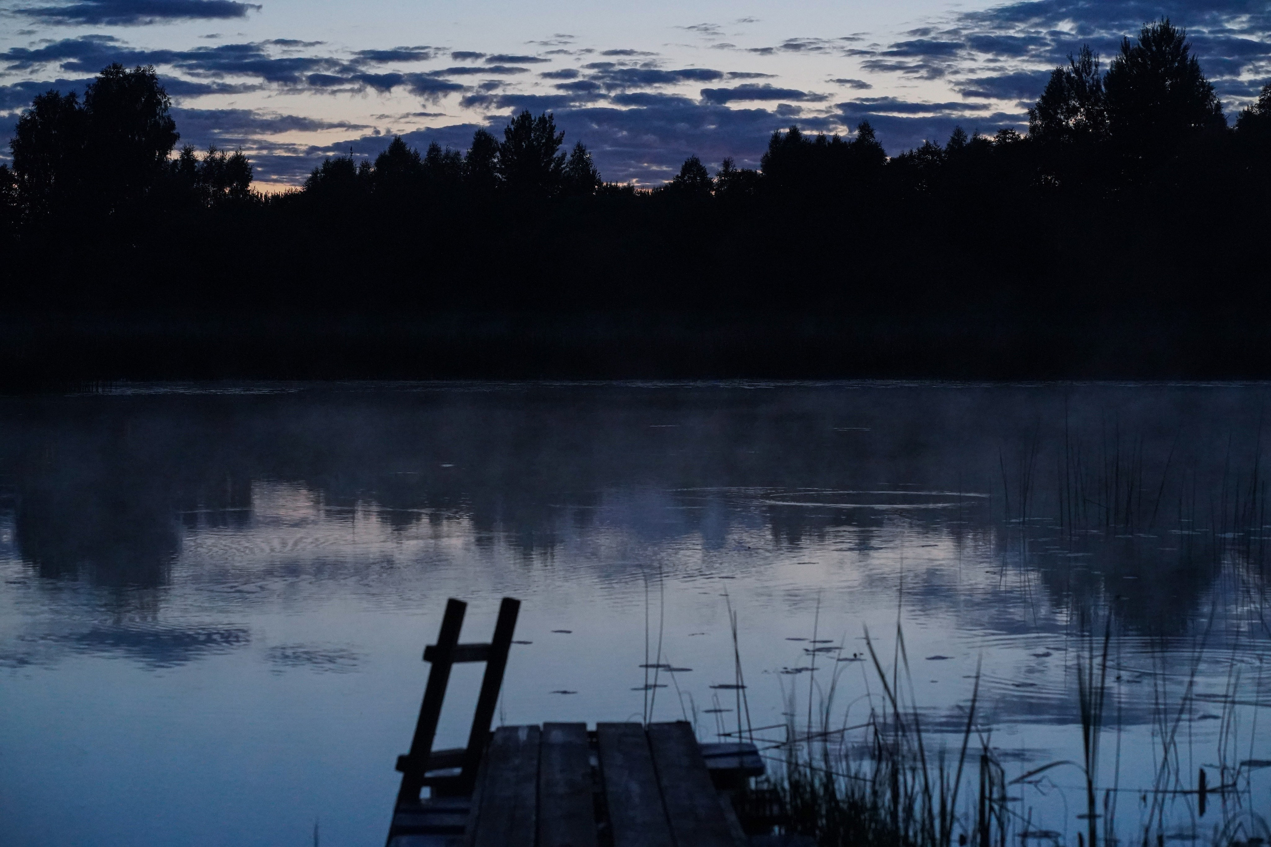Фотокартины. Семейный фотограф Ирина Ильиных-Вольная в Москве и не только