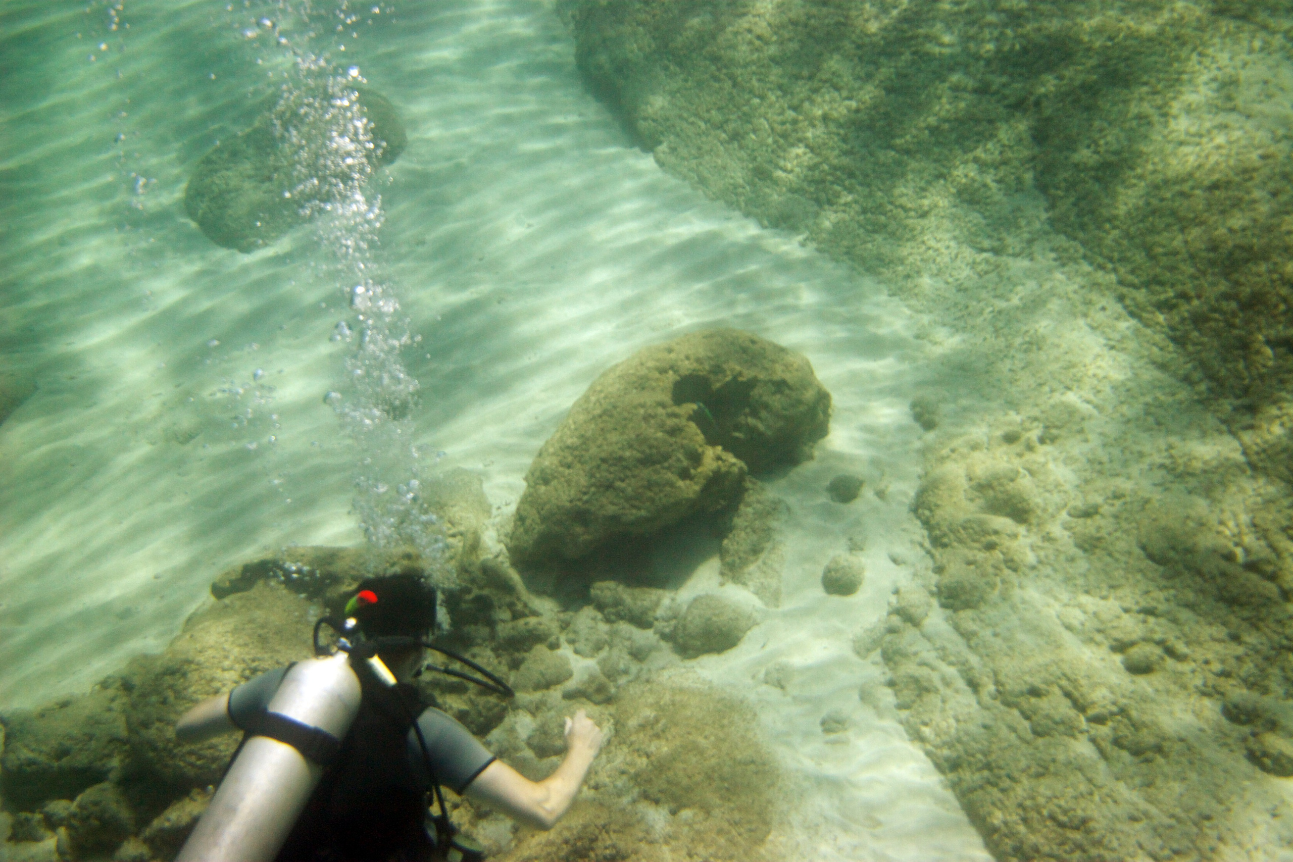 Под водой. Миша Печёнкин | фотография