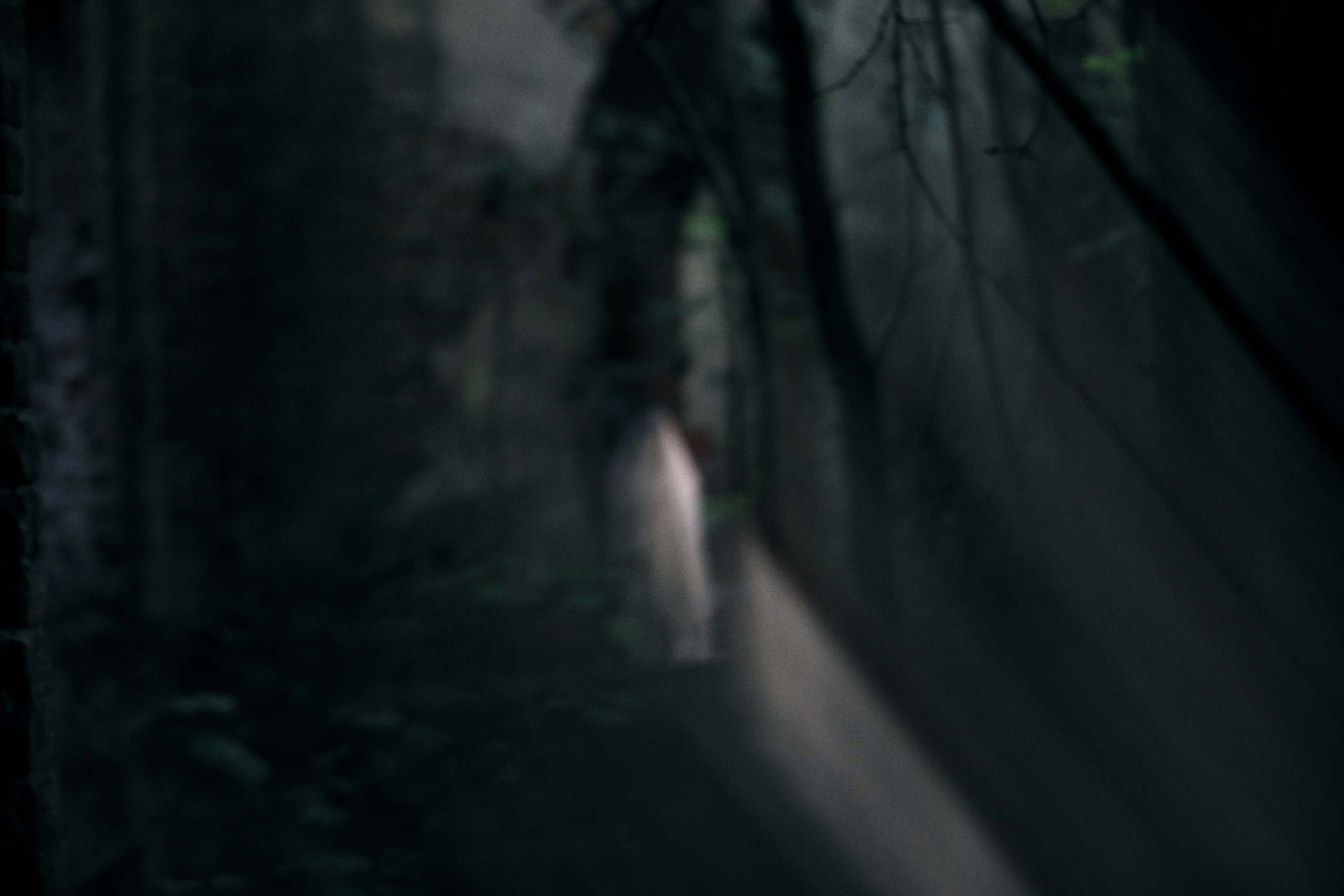 фотограф на свадьбу