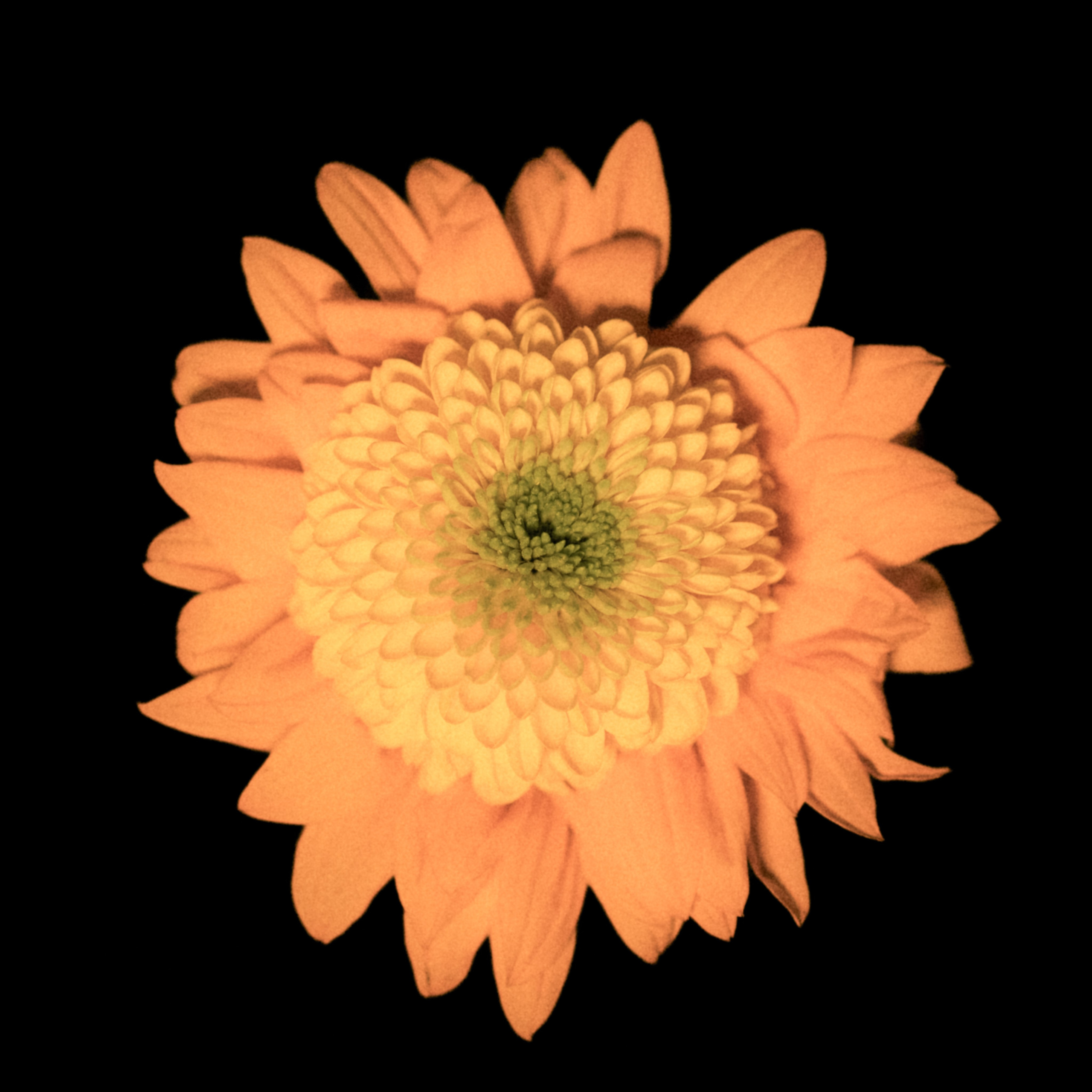 Единство (серия). Мистические фотосессии в Санкт-Петербурге от мистика Ильи Шенгелия