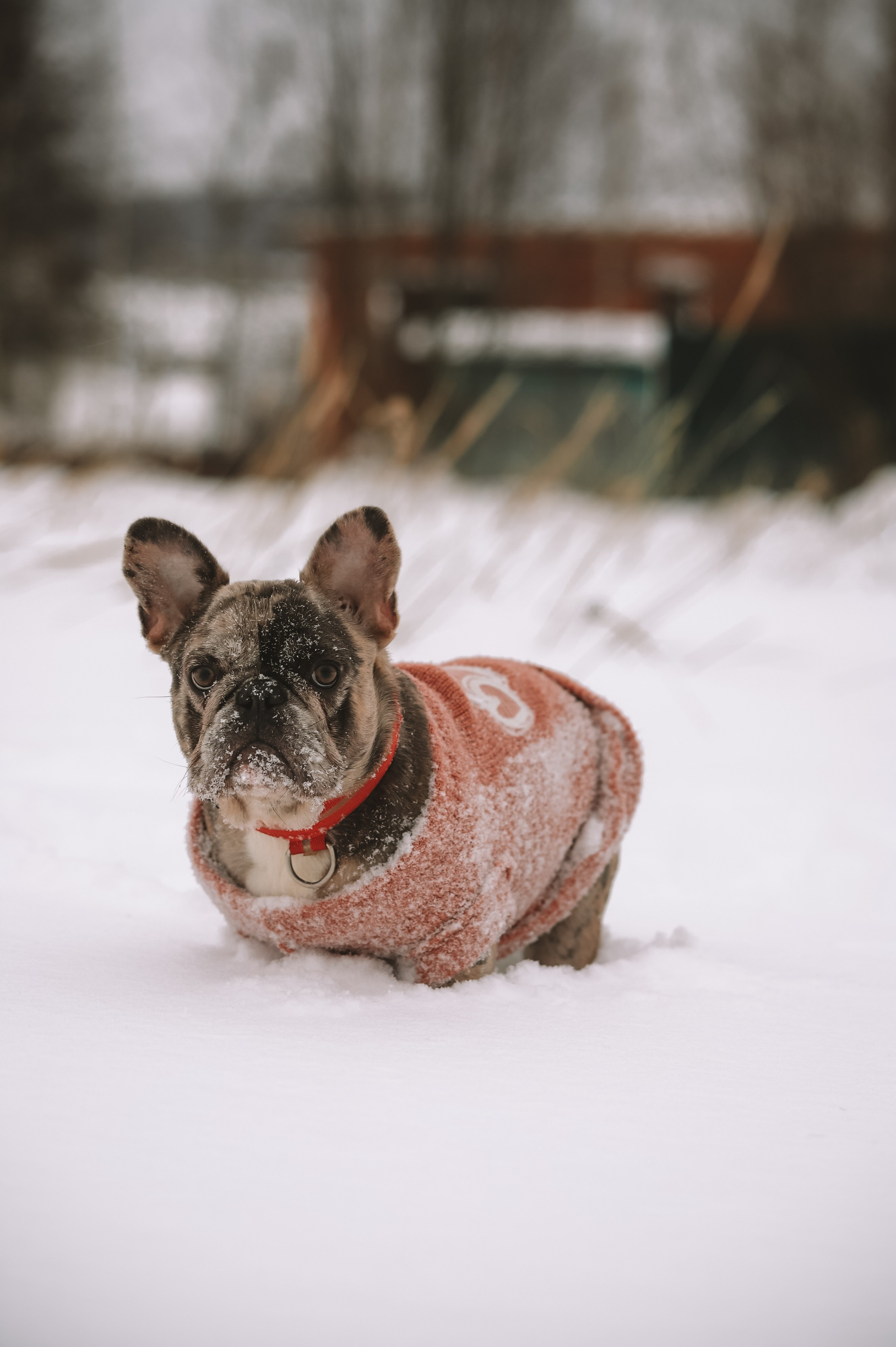 Григорий и Екатерина. Фотограф Москва и МО Анастасия Пясковская