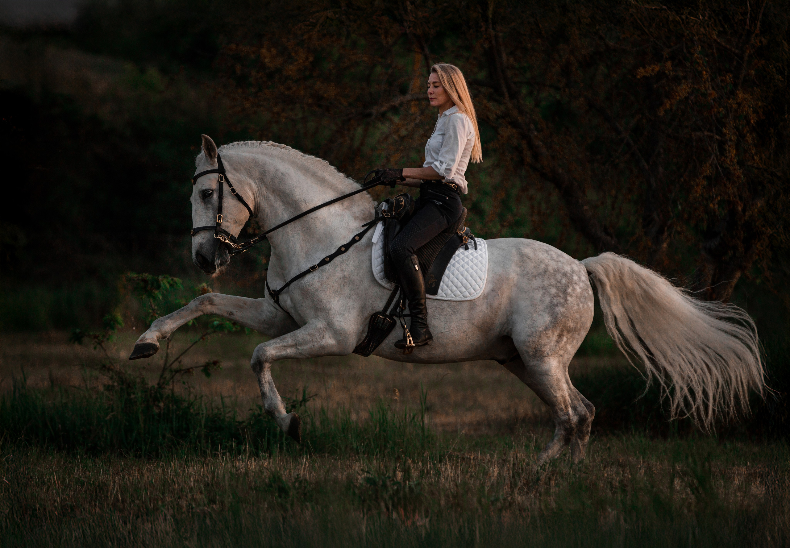 Натали и Цезарь. Фотограф-анималист Ксендзова Кристина