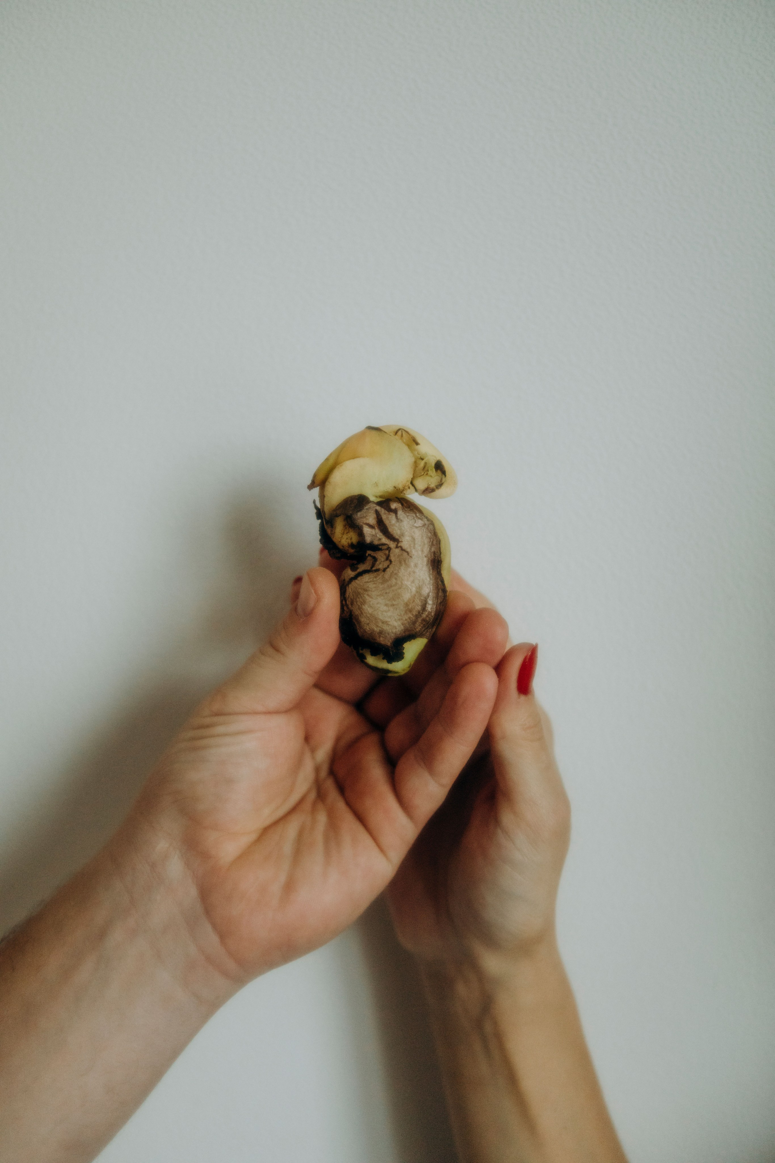 Наши росточки. Свадебный и семейный фотограф Арестенко Анастасия