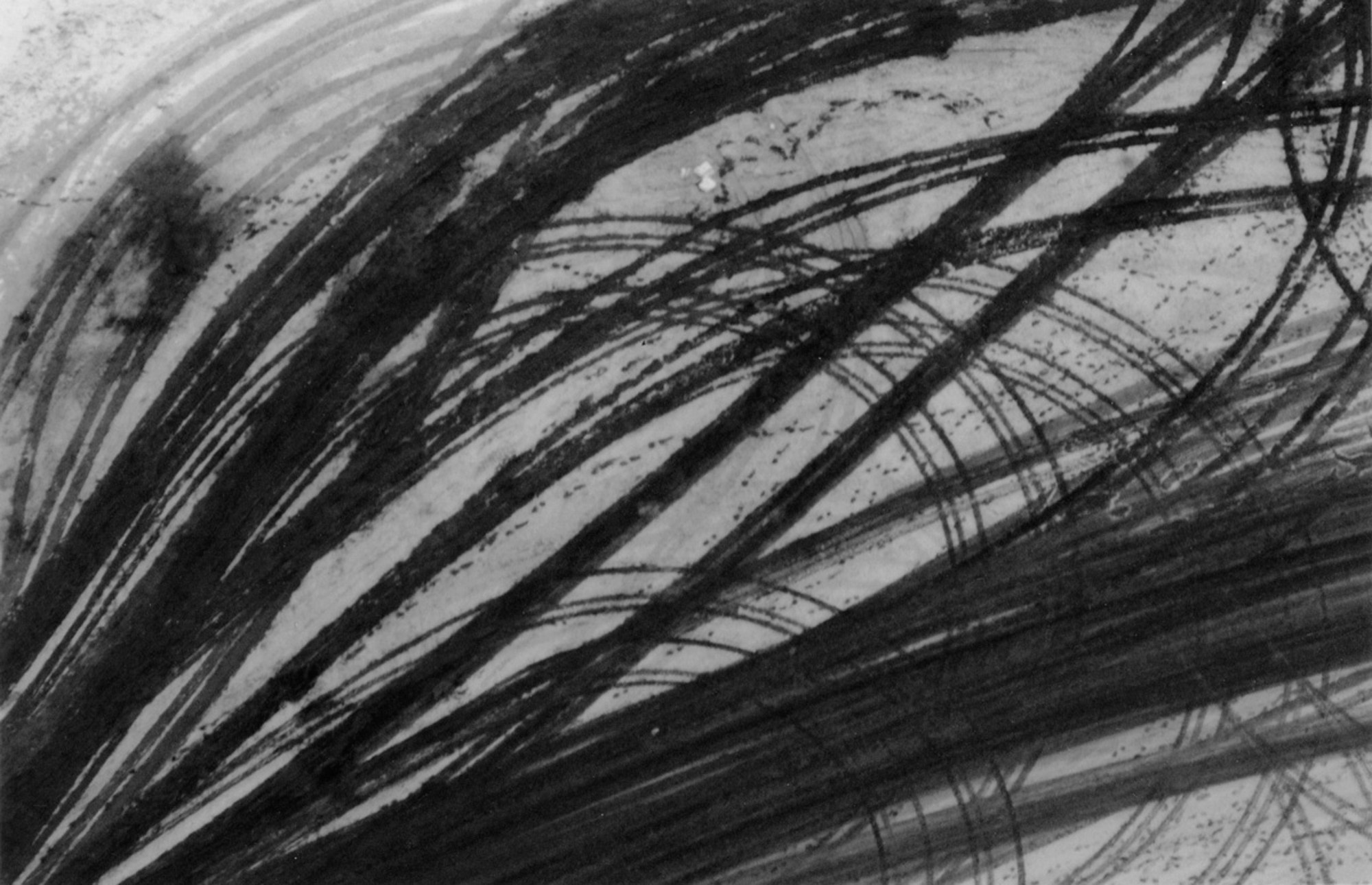 Art Series. Елена Цихон художник фотографии и мастер фото-ДНК