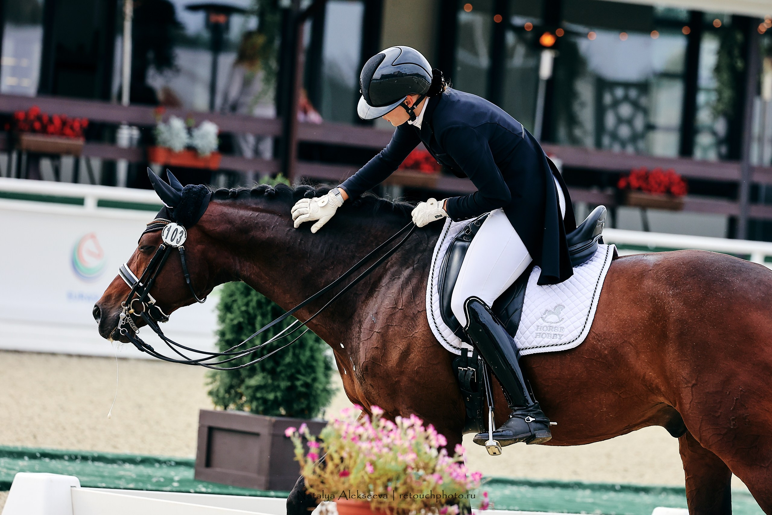 Чемпионат и Первенство России по выездке, Maxima Stables | 09'2023. Репортажный фотограф и ретушер в Москве Наталья Алексеева