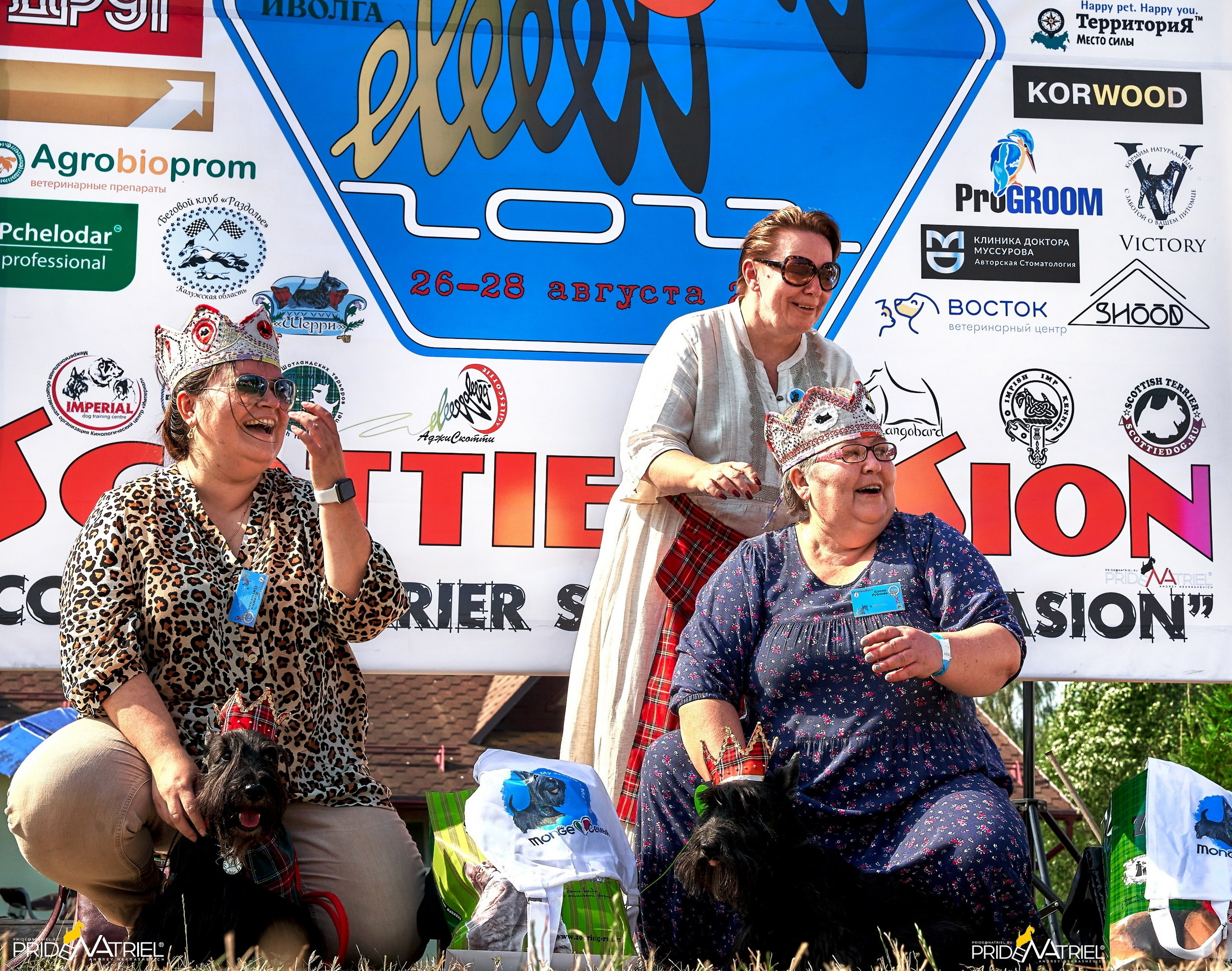 Мероприятия с собаками — галерея NATRIEL