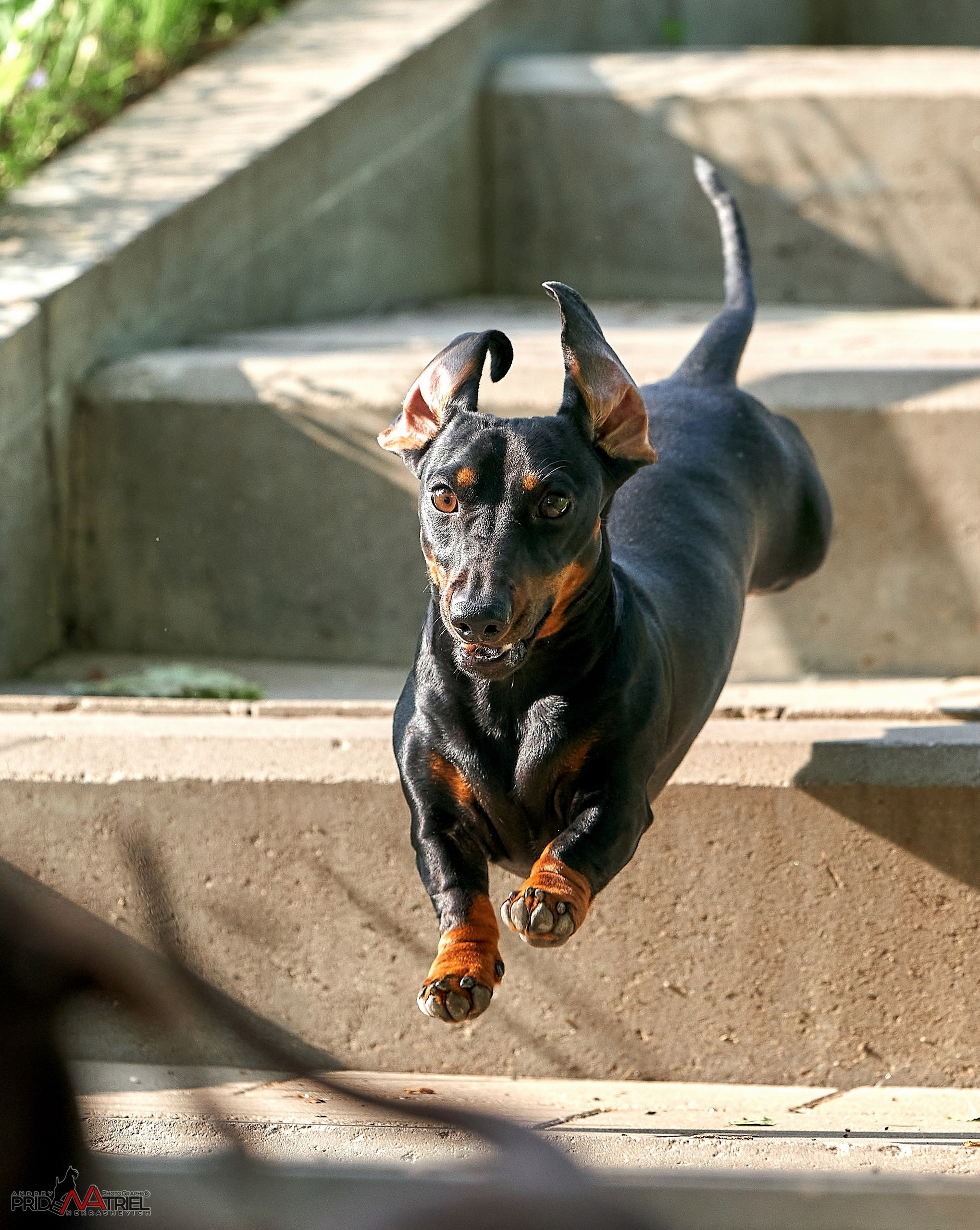 Прогулка в движении — галерея NATRIEL