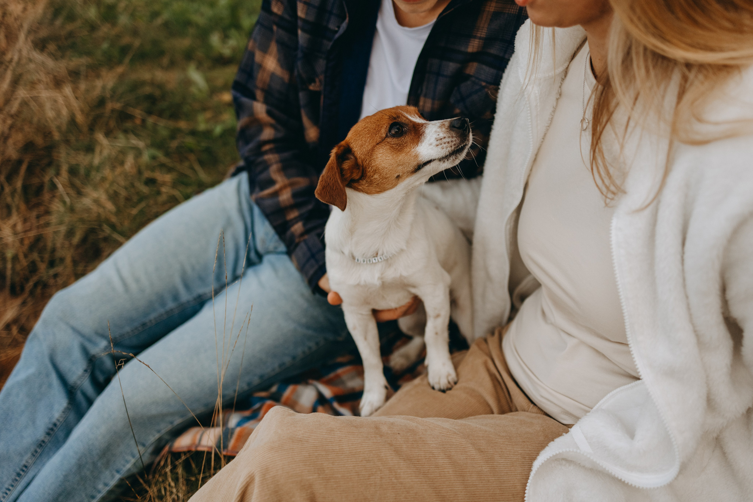 Лея и ее семья. Фотограф — Анималист | Санкт-Петербург