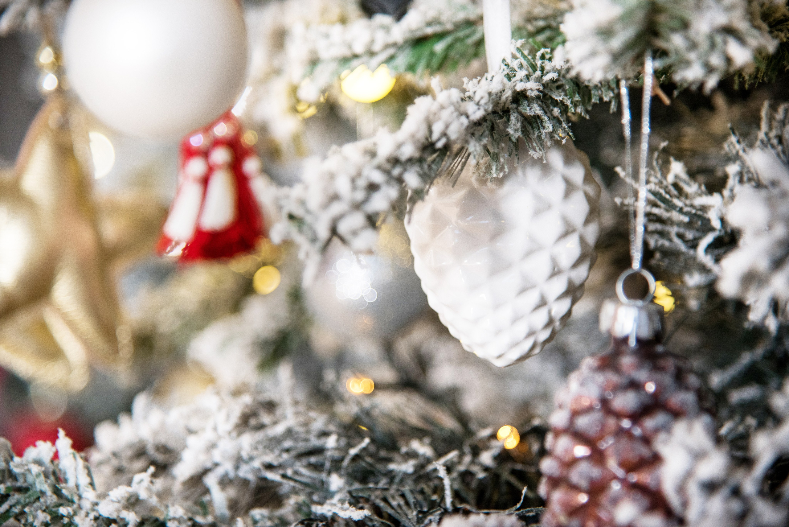 Семейный и детский фотограф в Москве Шмыкова Екатерина