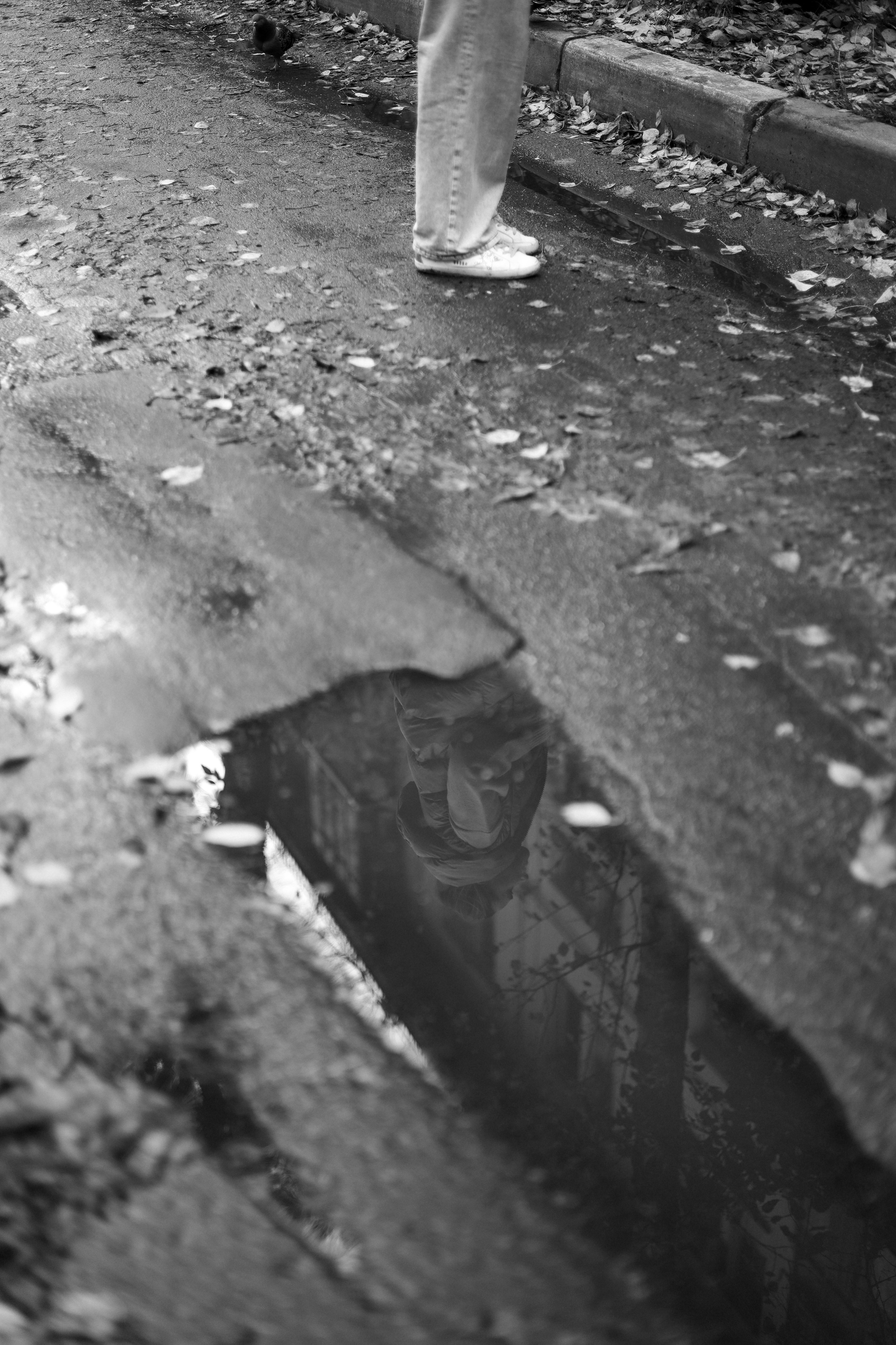 Осень в Измайлово 🍂. Мария Бриль семейный и детский Lifestyle фотограф Москва