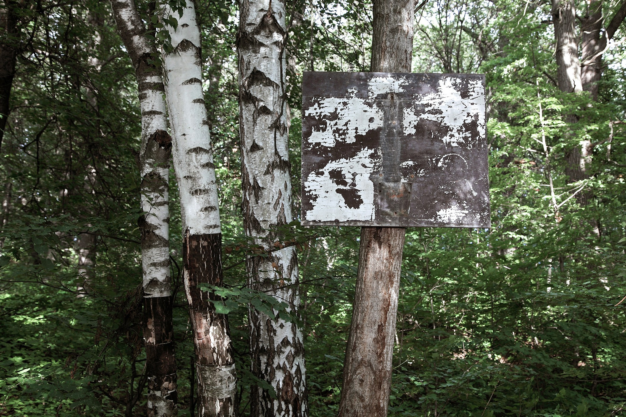 Симуляторы (Каталог № 1). Главная