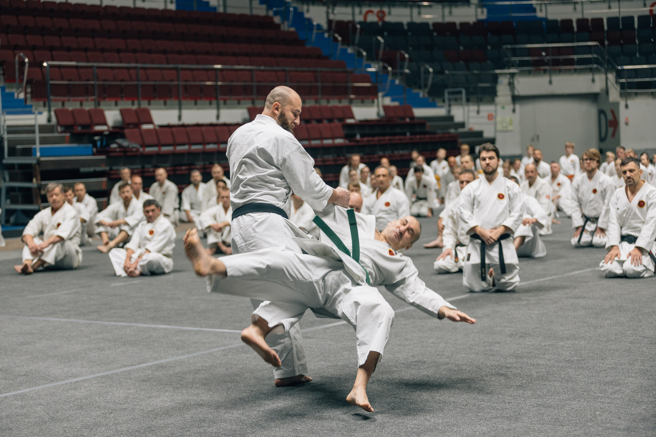 СПОРТ. Портфолио свадебного фотографа. Роман Каргаполов