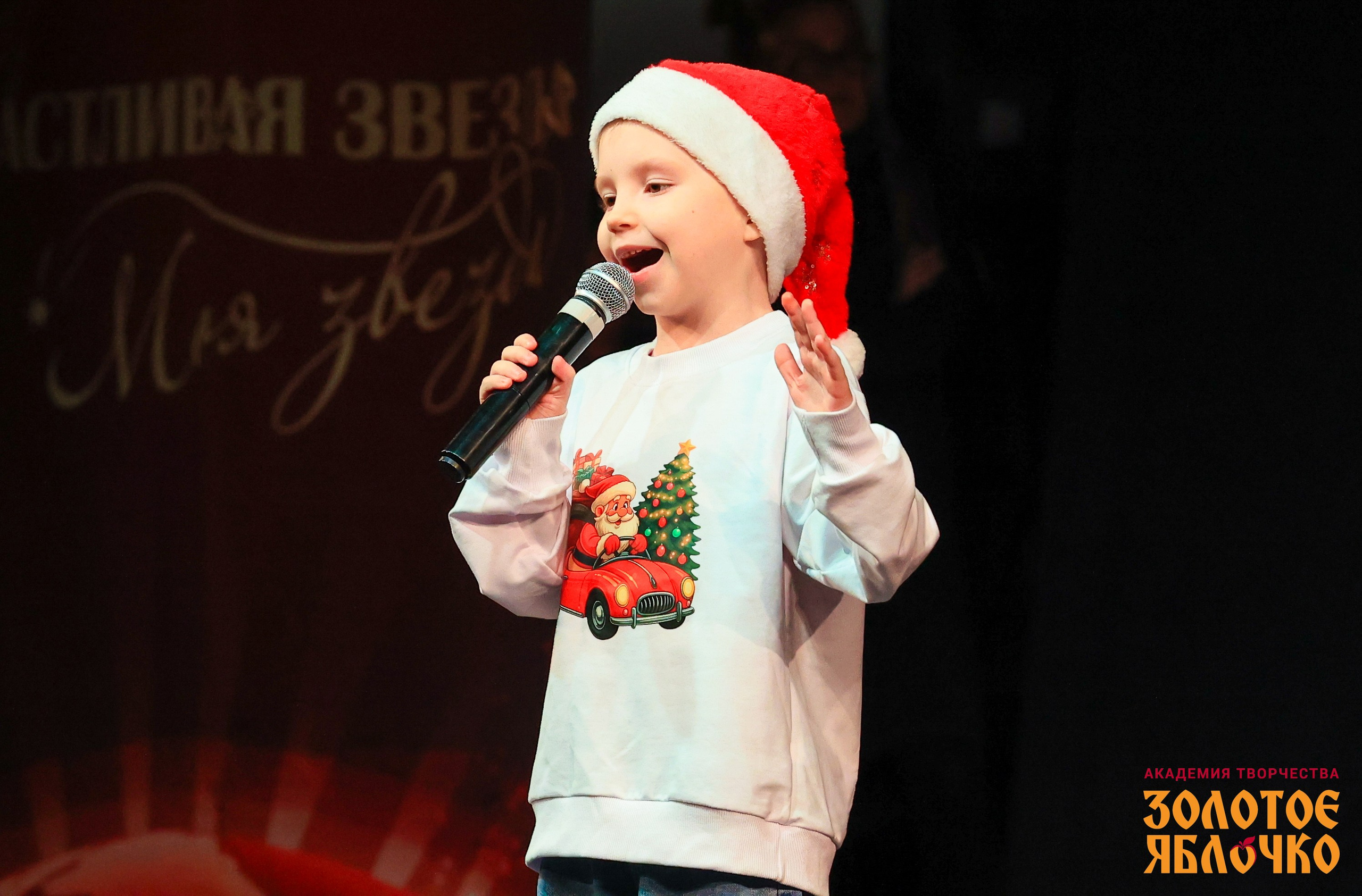 7 февраля, г. Петрозаводск. Золотое яблочко