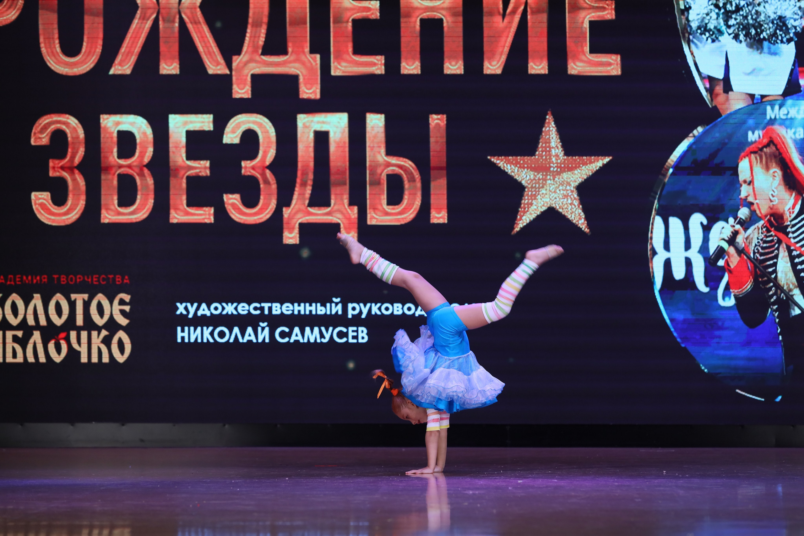 4 ноября, блок 1, видео, номера 49-58, г. Краснодар. Золотое яблочко