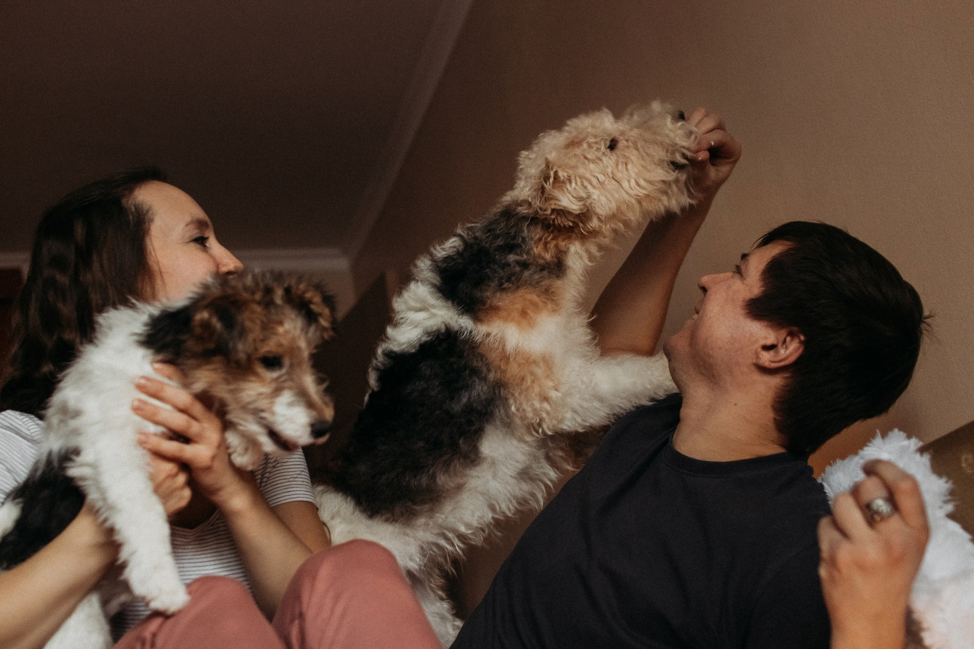 Ребята и фоксы. Фотограф Наталья Потапова