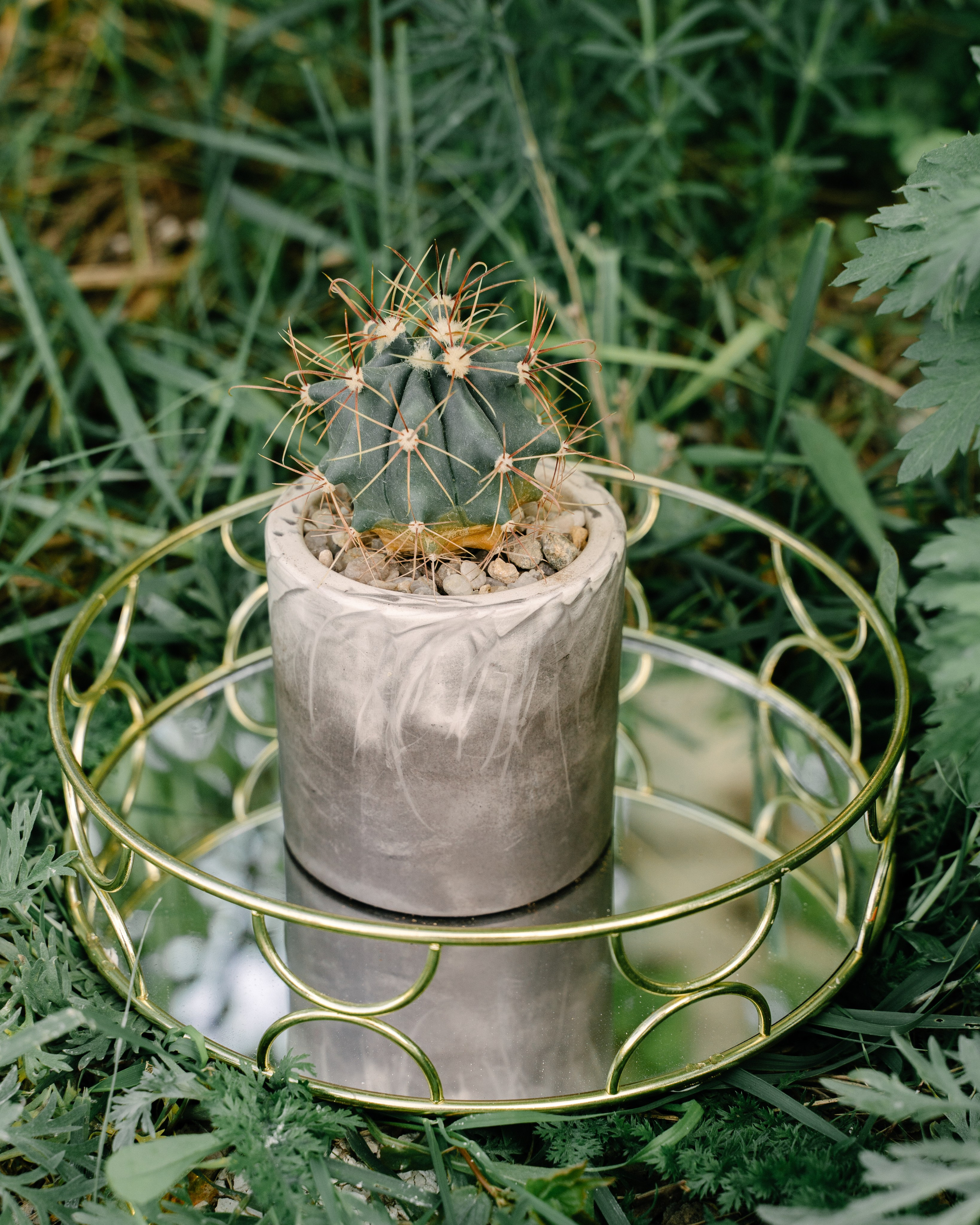 Свечибар «Лунный свет». Свадебный фотограф Юлия Копылова