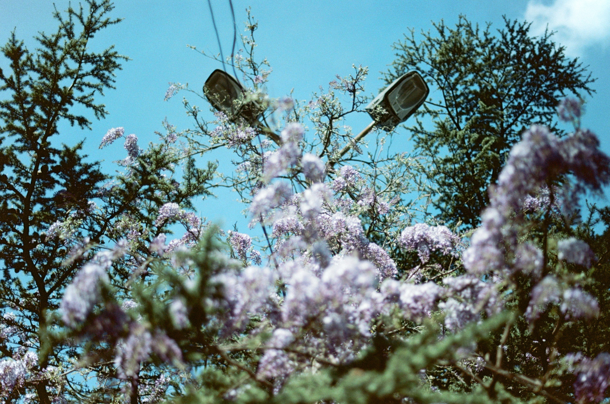 Silver strings // ukraine, crimea. EVER EXPOSED