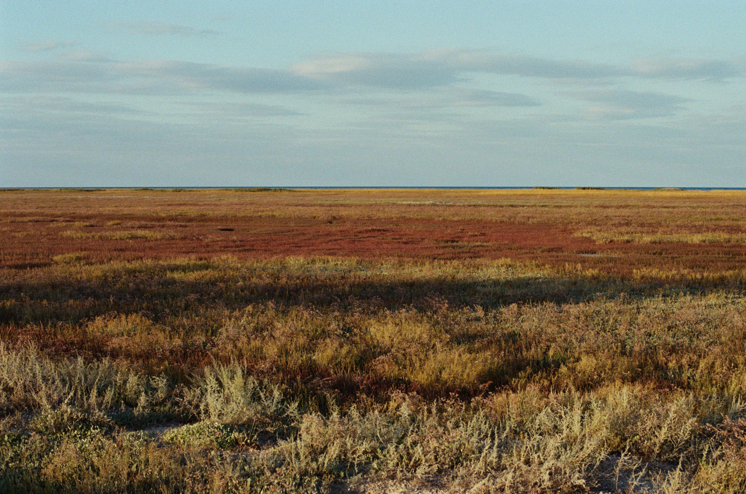 Your guardian angel // ukraine, crimea II. EVER EXPOSED