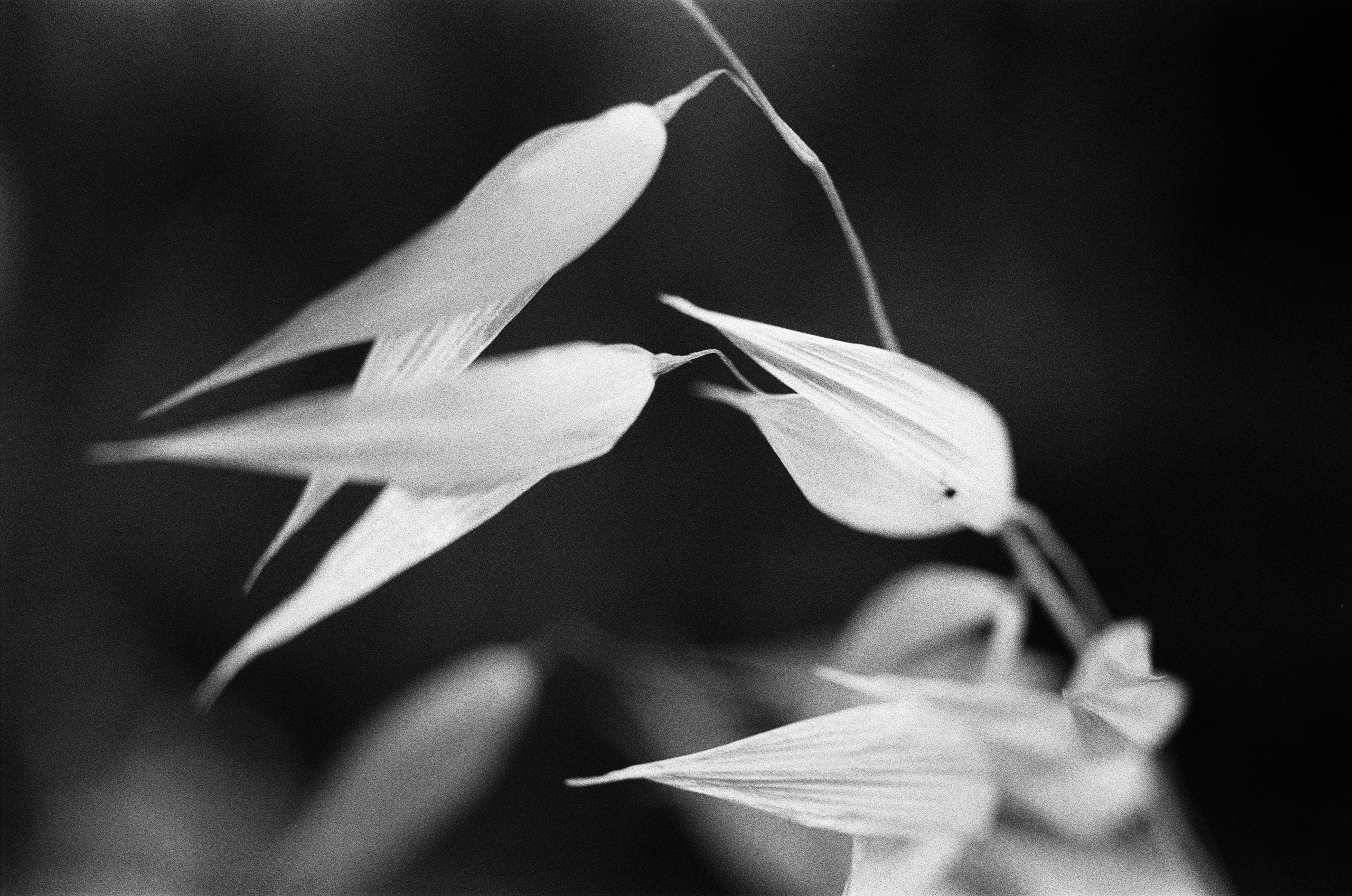 Oblomki chuvstv // ukraine, crimea VII. EVER EXPOSED