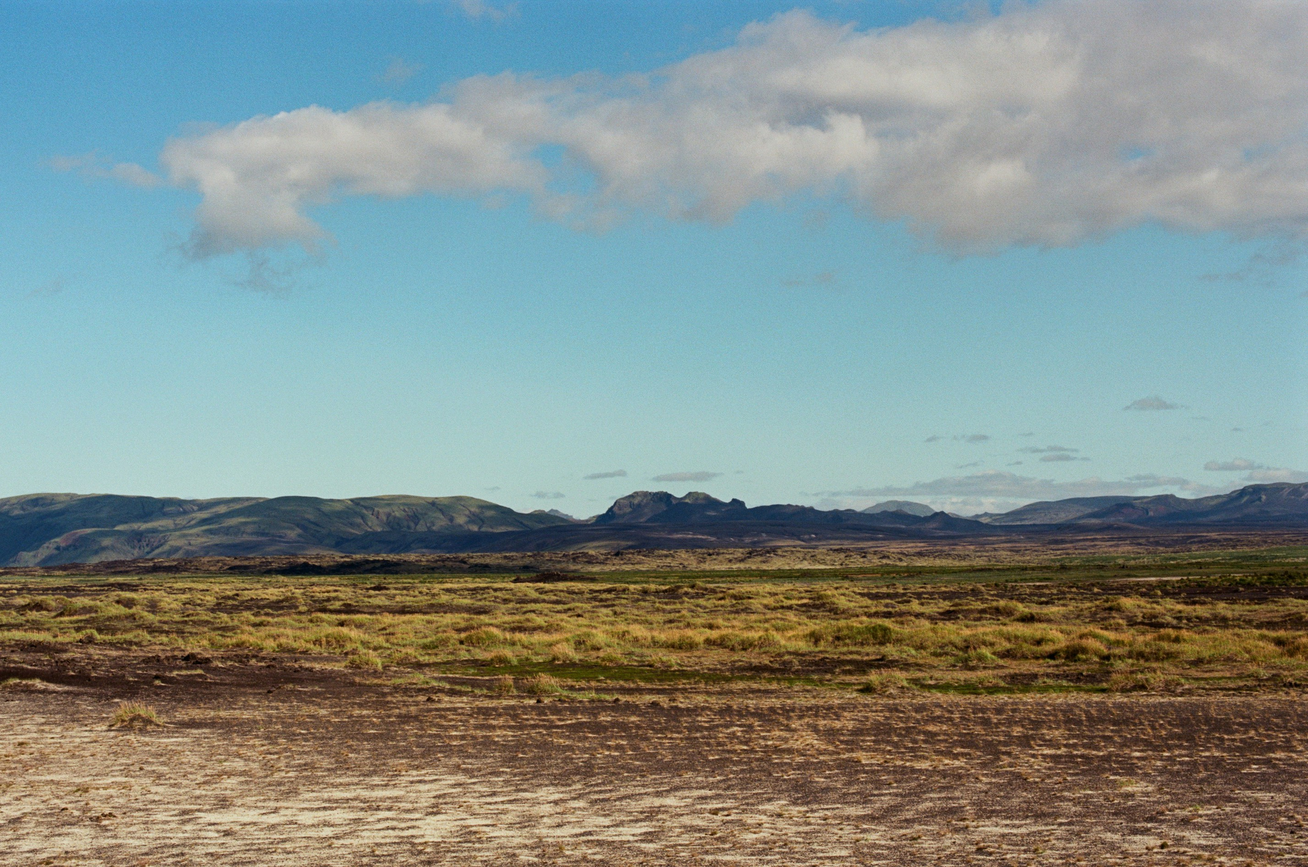 Visitor // iceland, f225. EVER EXPOSED