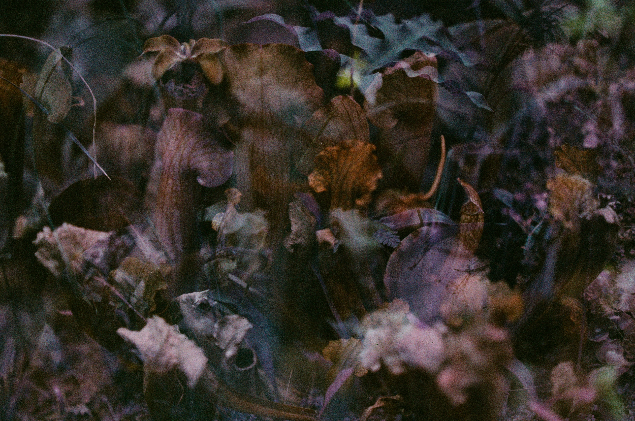 If i get high. EVER EXPOSED