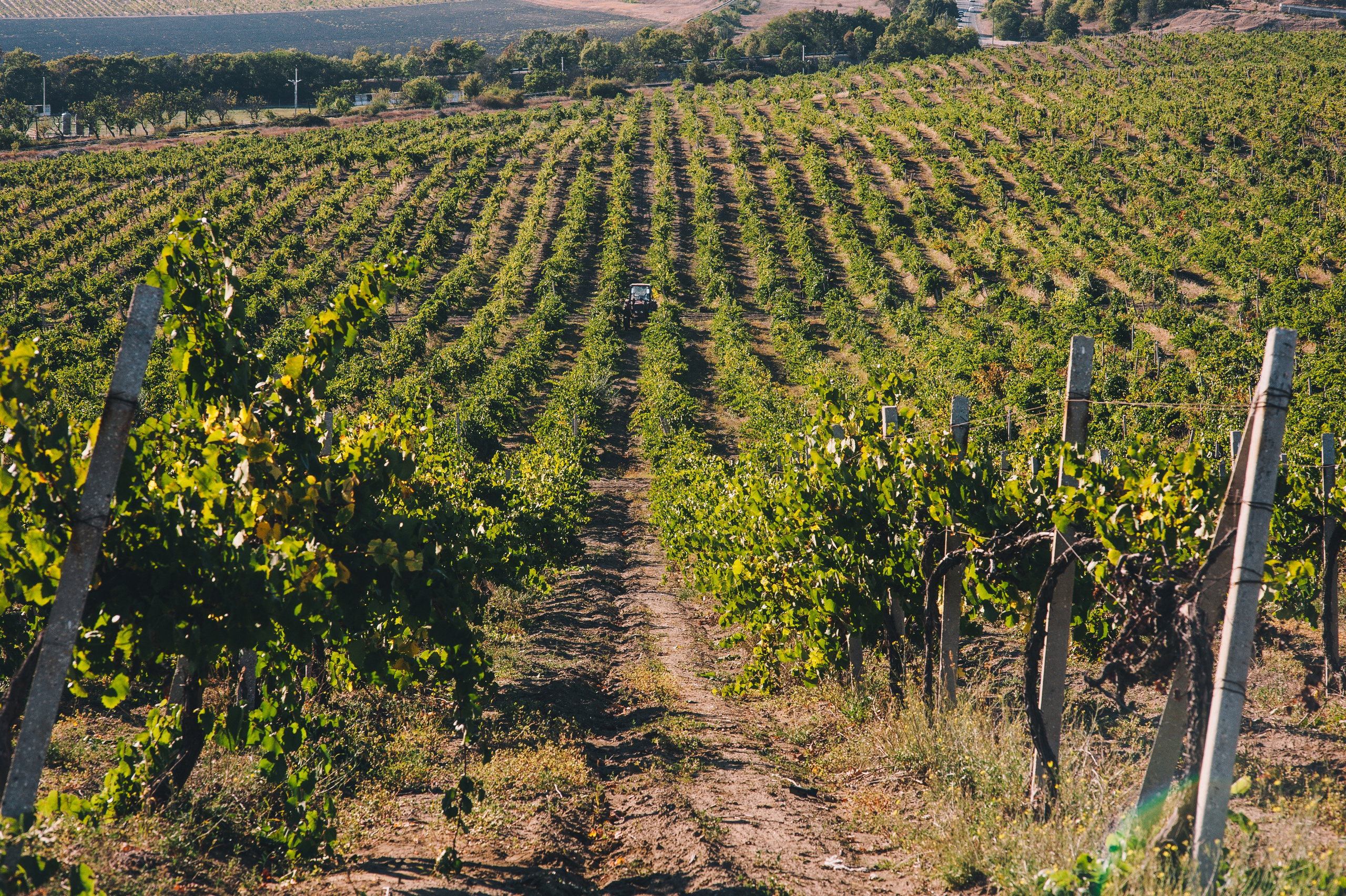 COMMERCIAL. Анна Ульянова