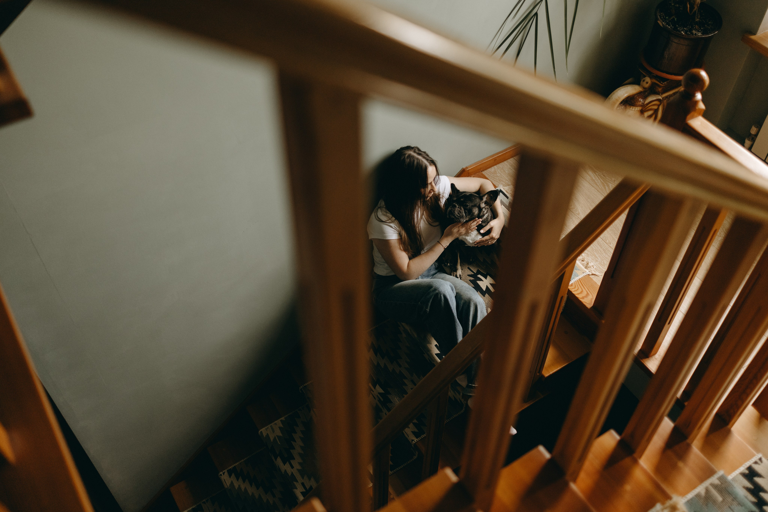 Софа и ее хвостики. Фотограф — Анималист | Санкт-Петербург