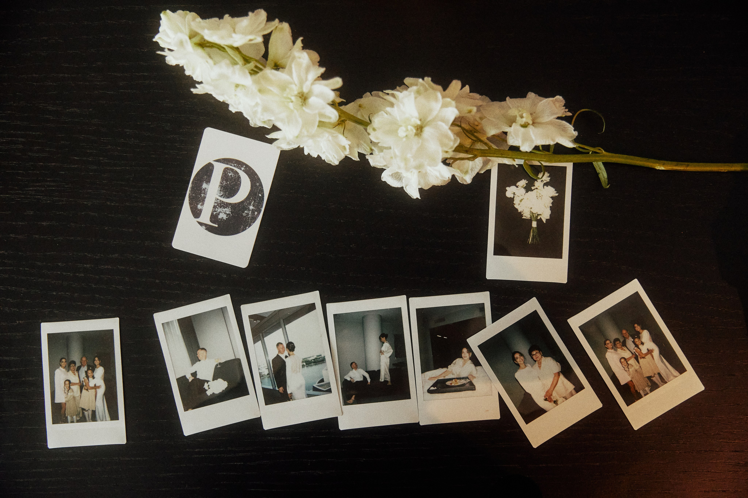 A NEW FAMILY TREE. Дмитрий Мазуркевич: Профессиональный Репортажный Фотограф