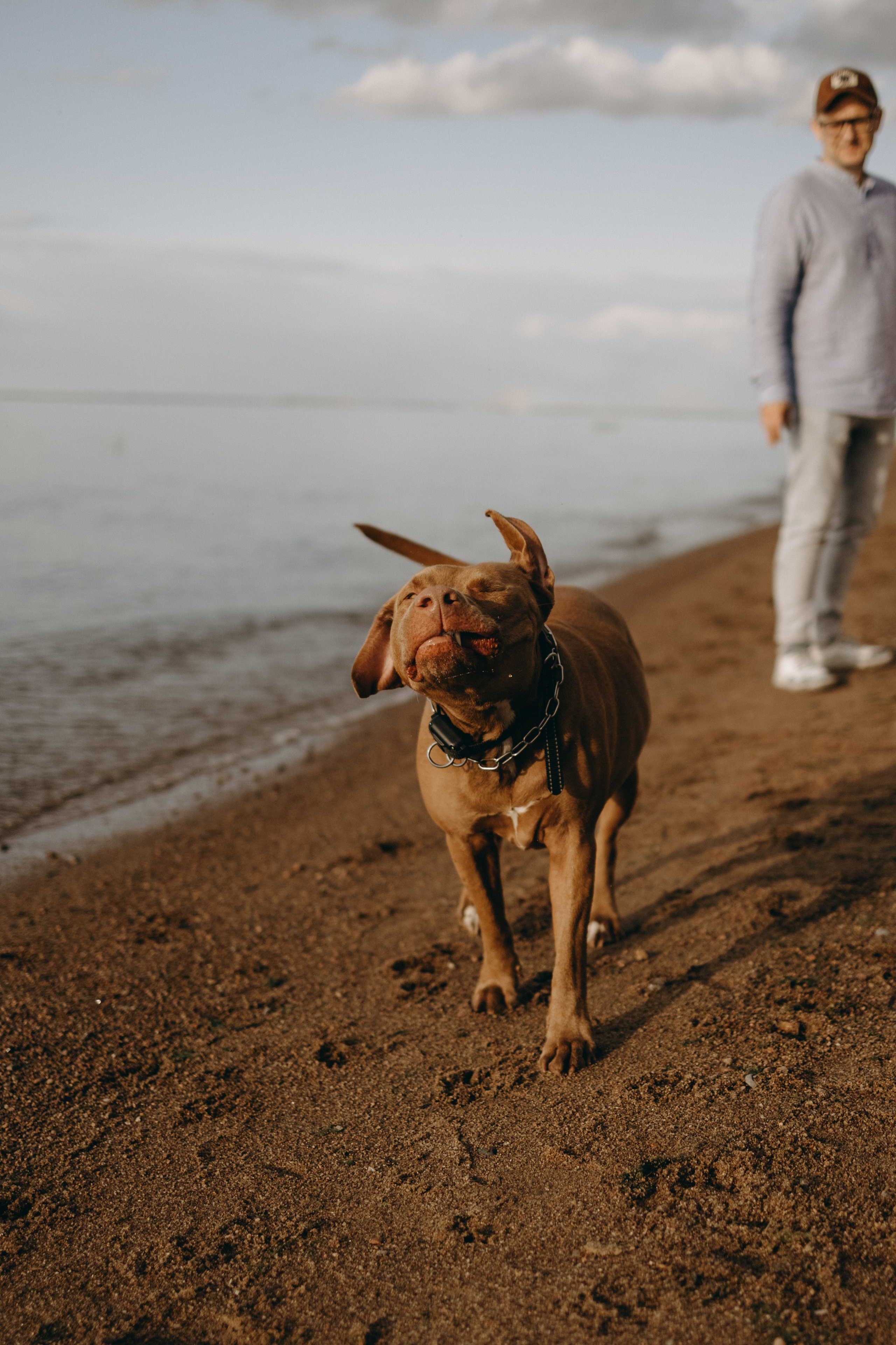 Бонни и ее семья. Фотограф — Анималист | Санкт-Петербург