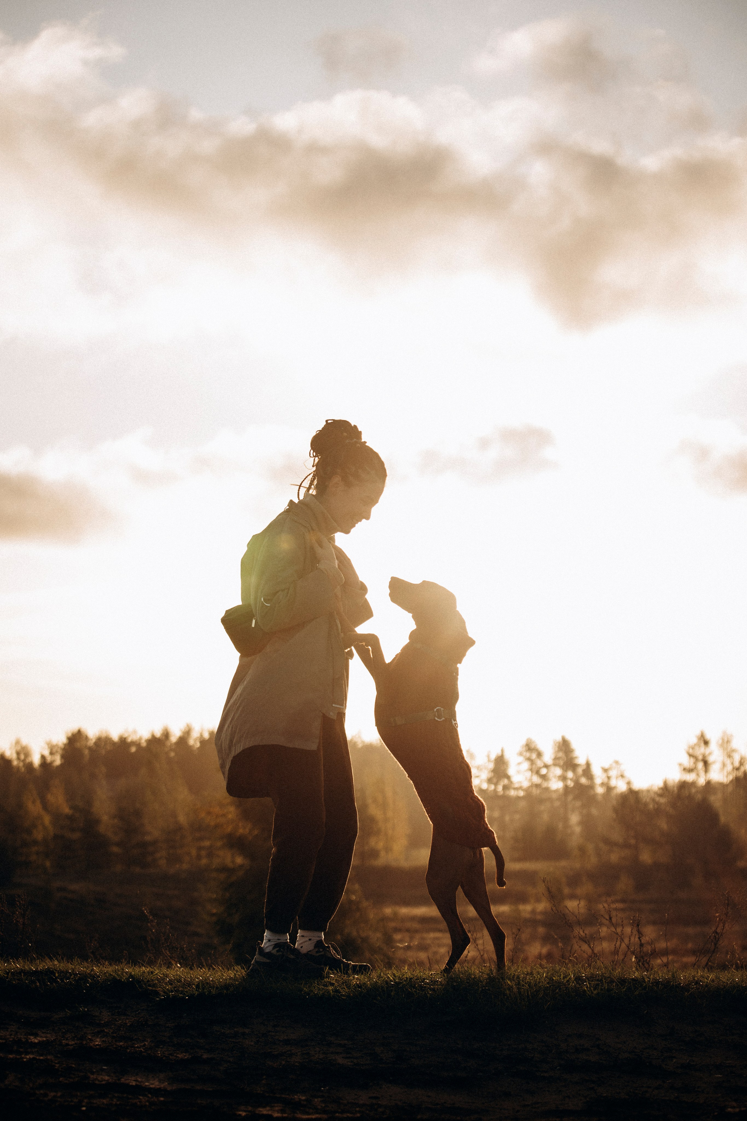 Трисс, Эста, Яся и их семья. Фотограф — Анималист | Санкт-Петербург