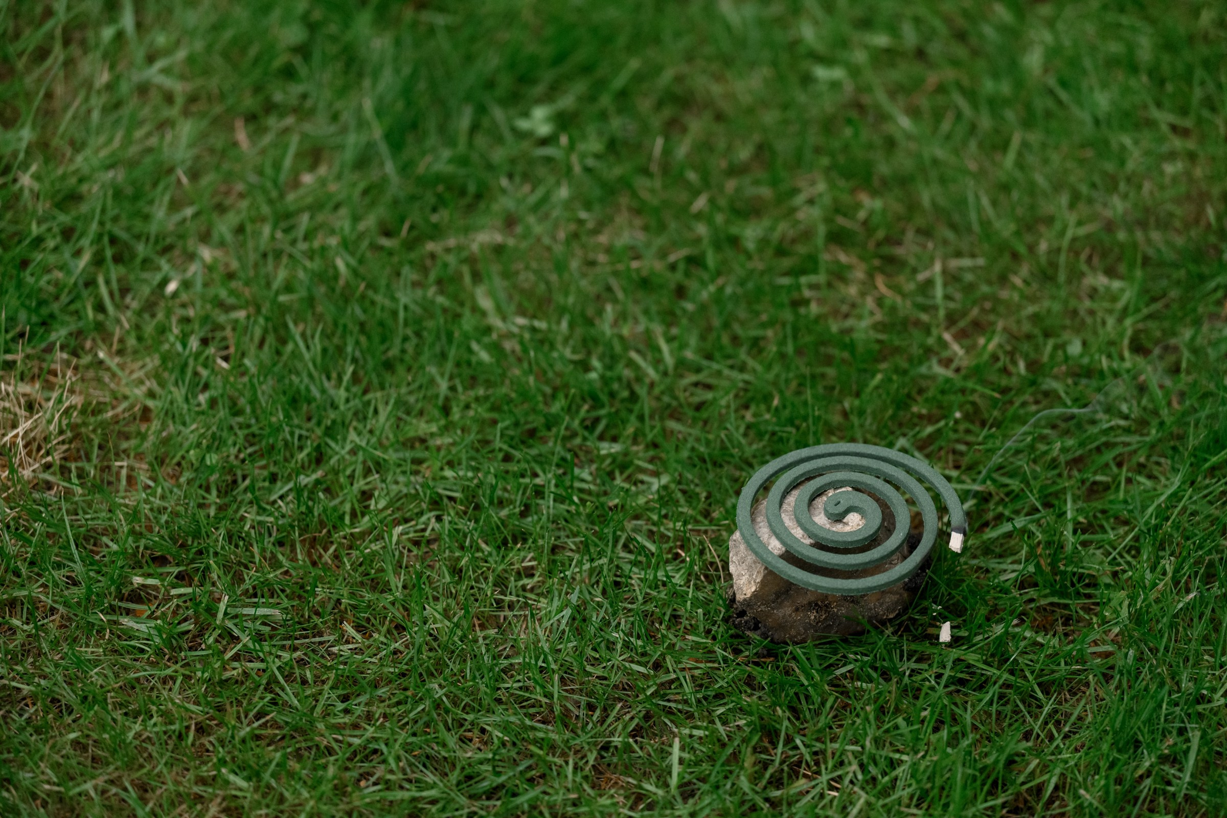 БОЛГАРСКИЙ ДОМ. Свадебный  фотограф Новосибирск