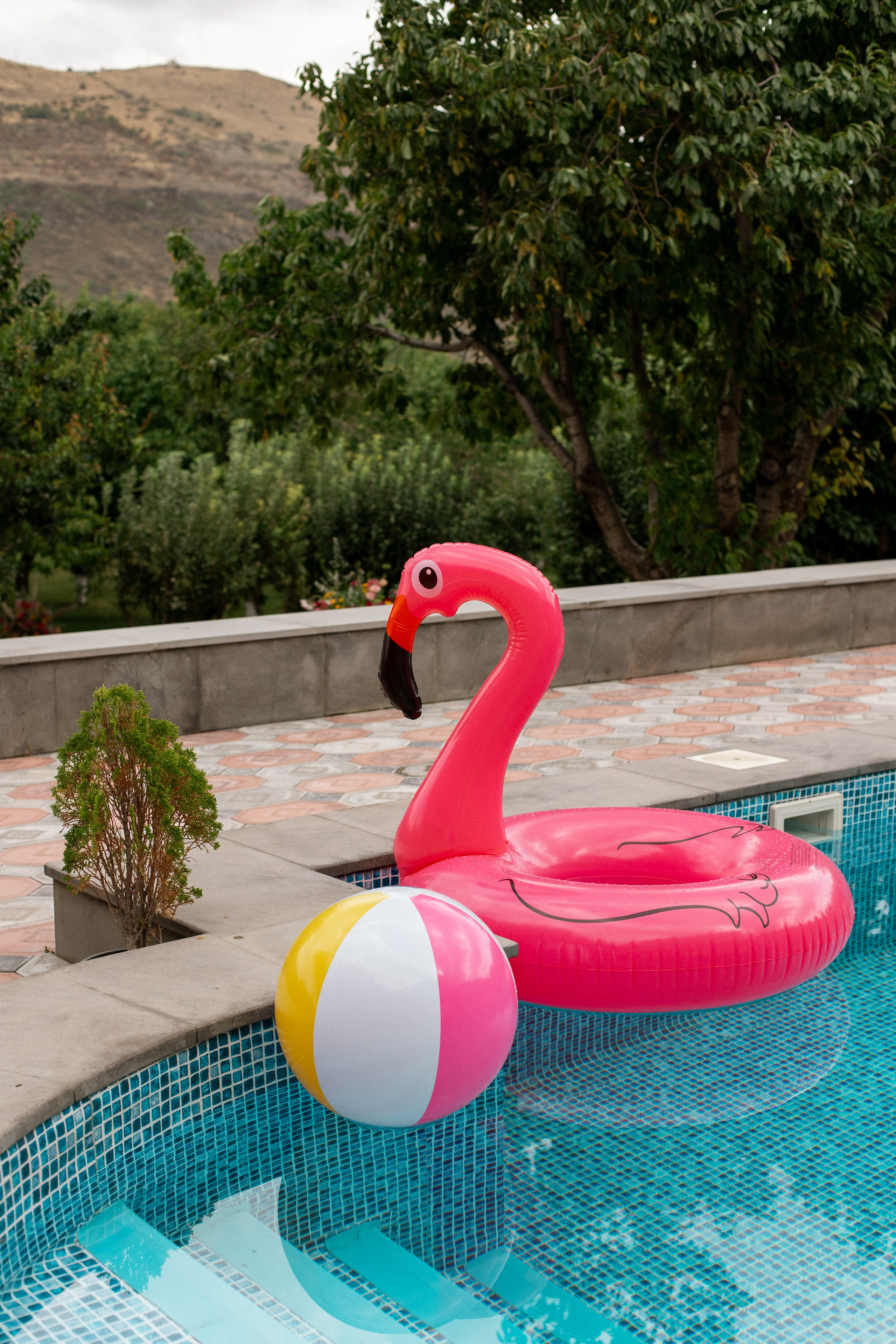 Натали и Влад (Армения🇦🇲). Фотограф Кожевникова Виктория