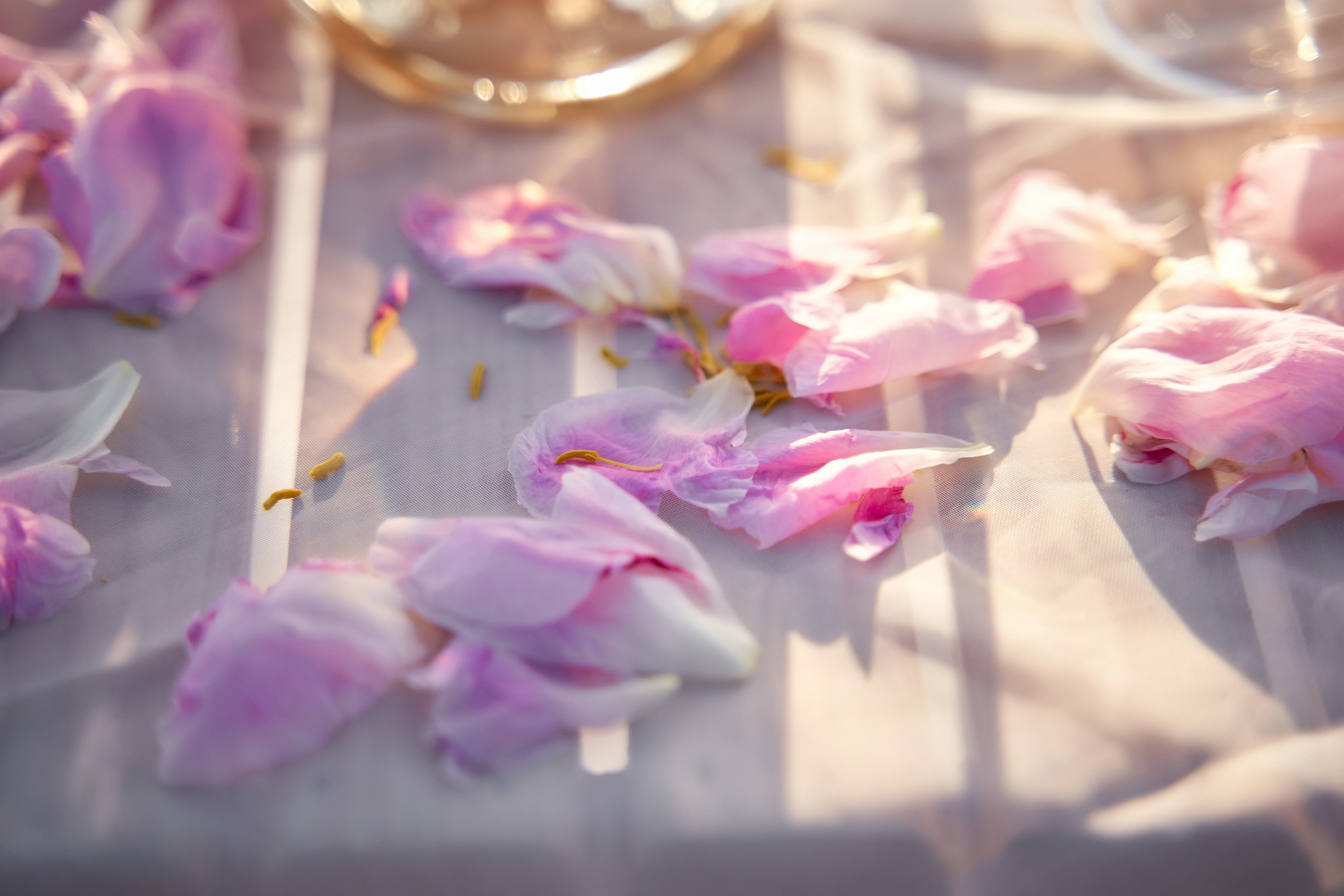 Love Story в Шато Андре. ТВИНС СТУДИО — лучшие свадебные фотографы и видеографы в Краснодаре