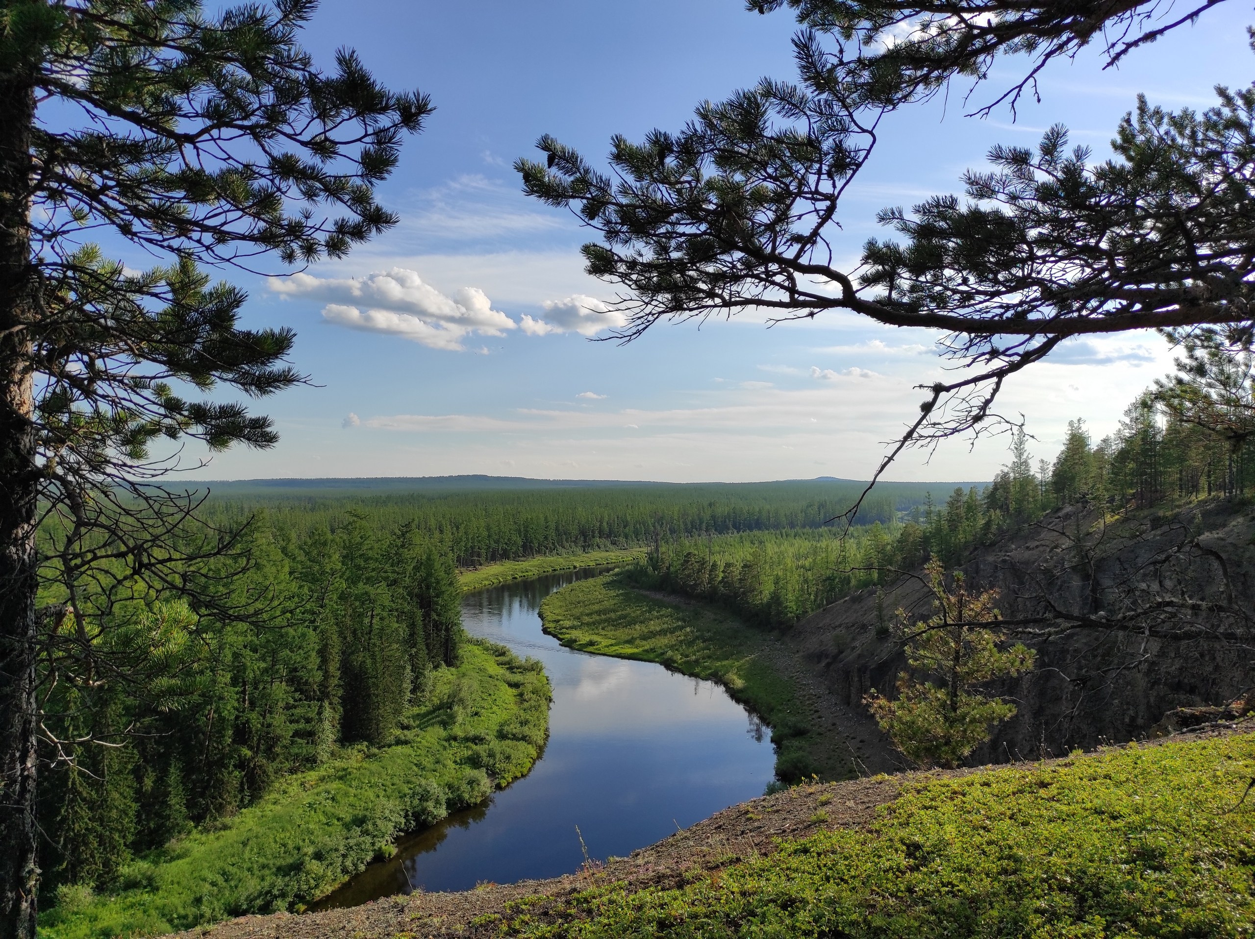 Мобильное фото. Foto-Zuev фотография как искусство